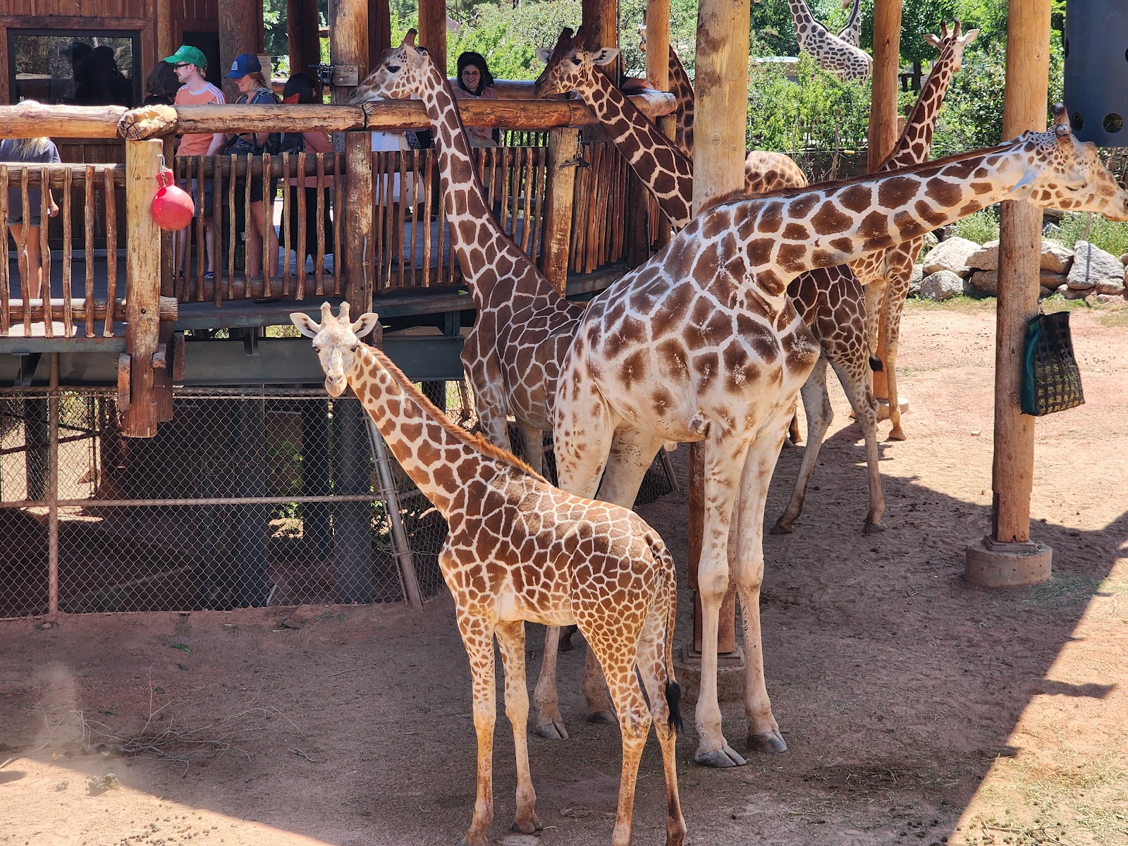 Cheyenne Mountain Zoo — Oficiais