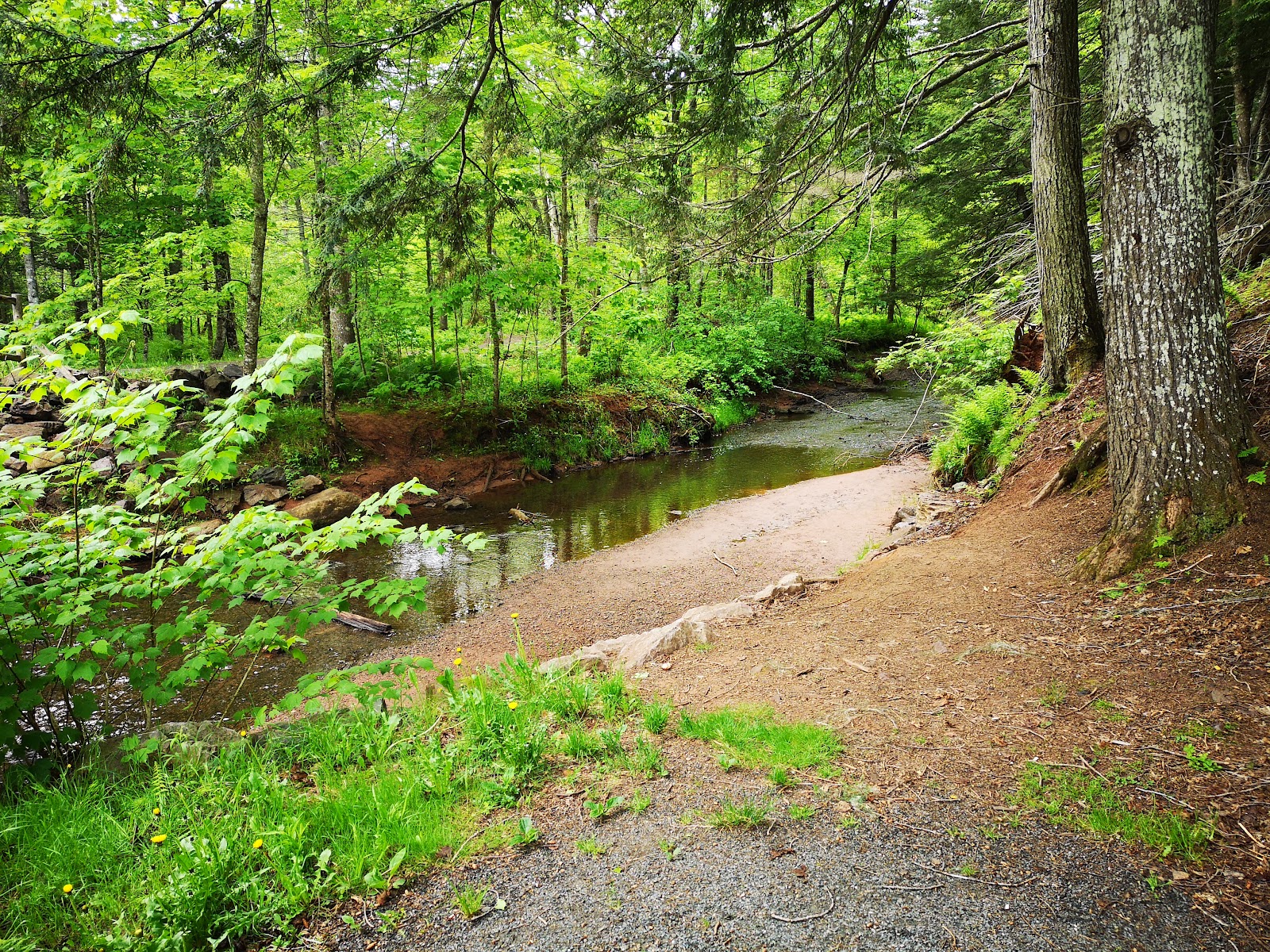 Cobequid Trail - Farnham Brook Trail — Oficiais