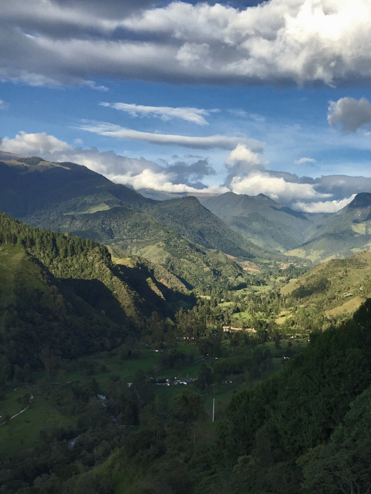 Cocora Valley — Oficiais