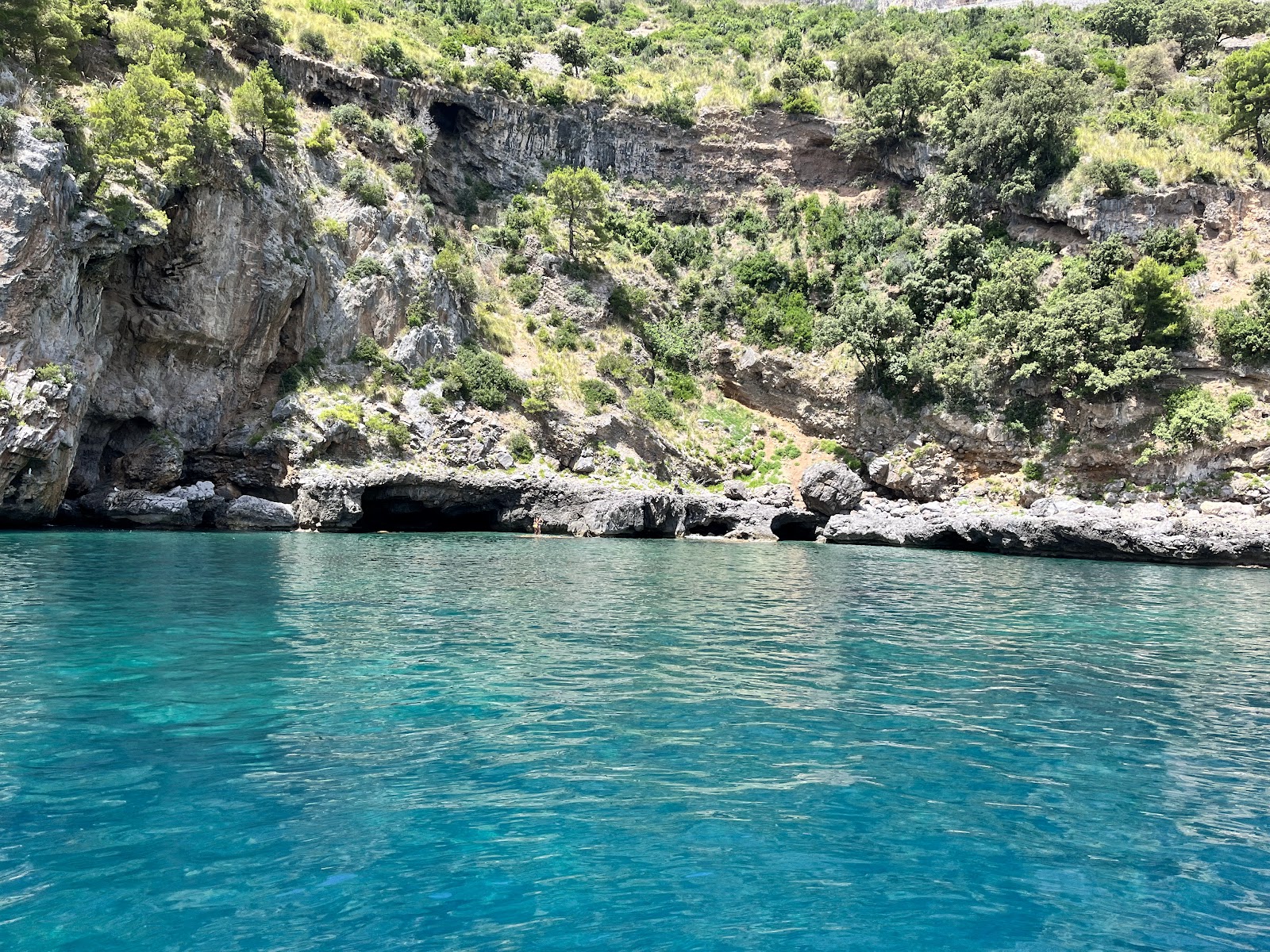 Colline vulcaniche di Acquafredda — Oficiais