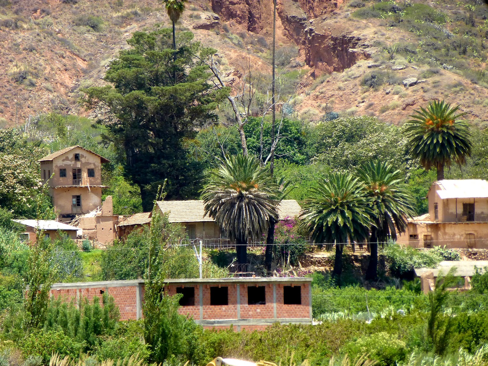 Cordillera de Luribay — Oficiais
