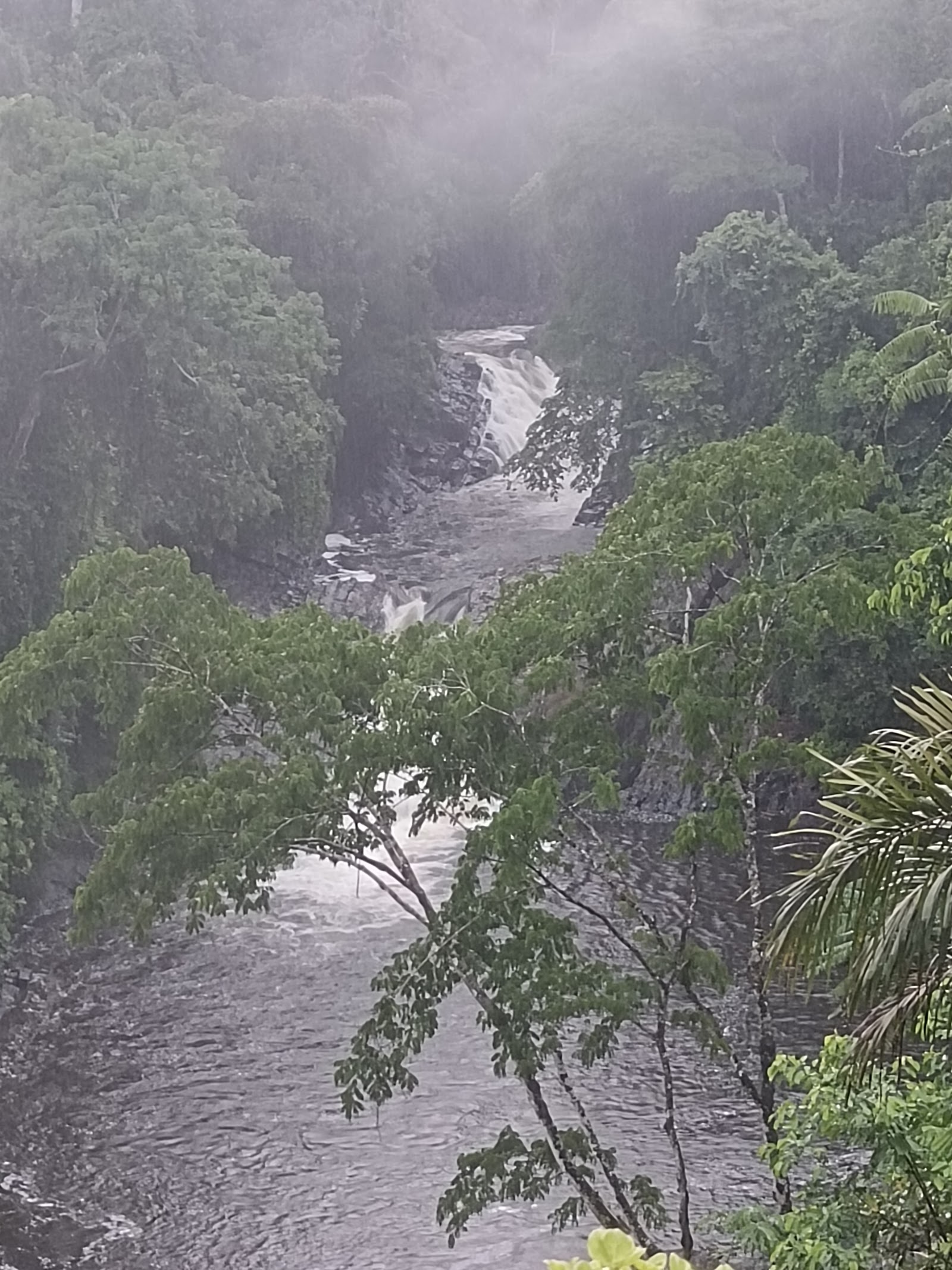 Cross River National Park