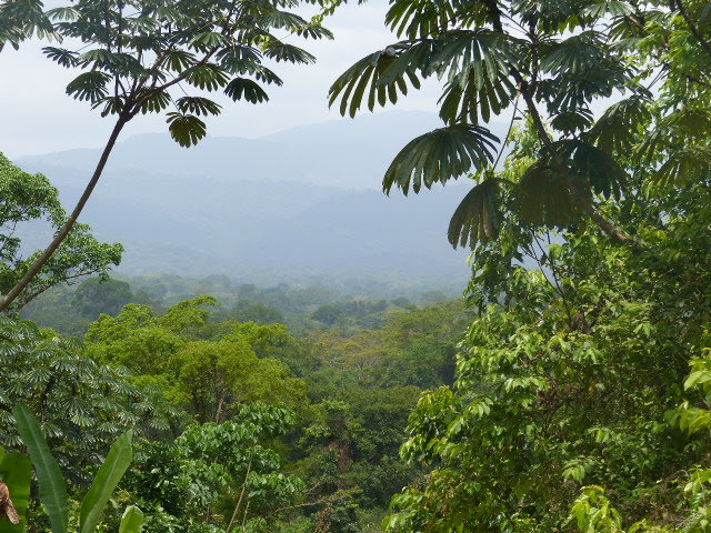 Cross River National Park — Oficiais