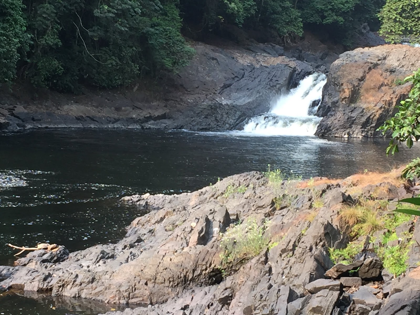 Cross River National Park — Oficiais