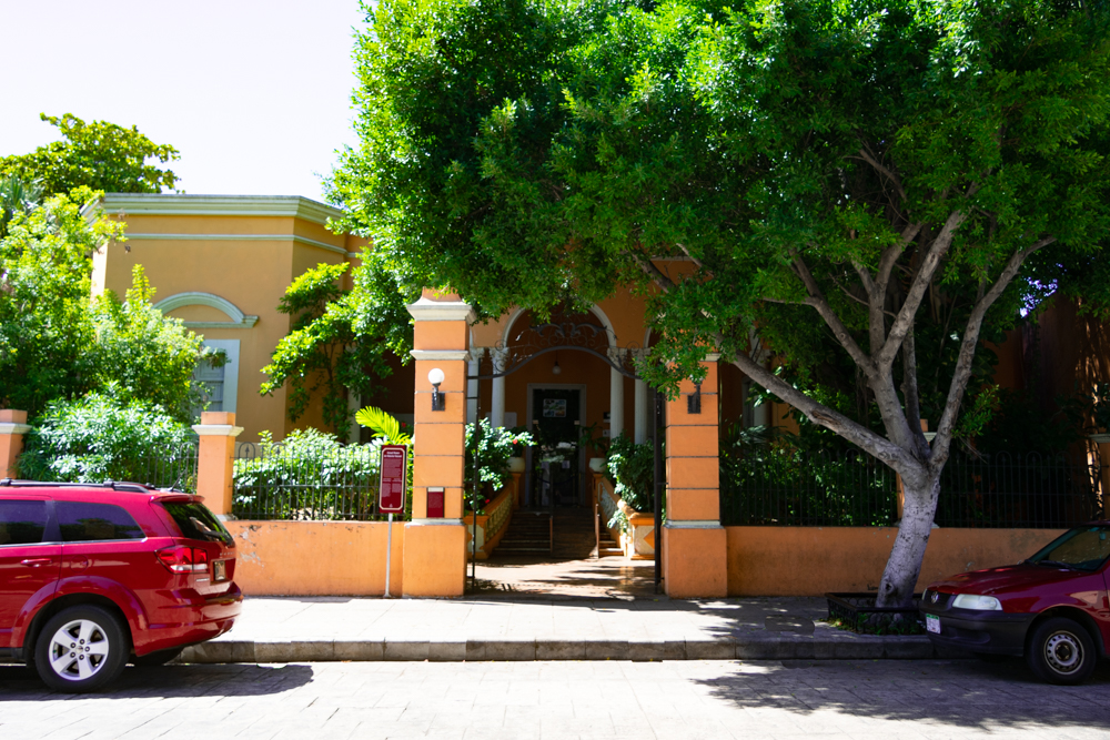 Museo de Historia Natural