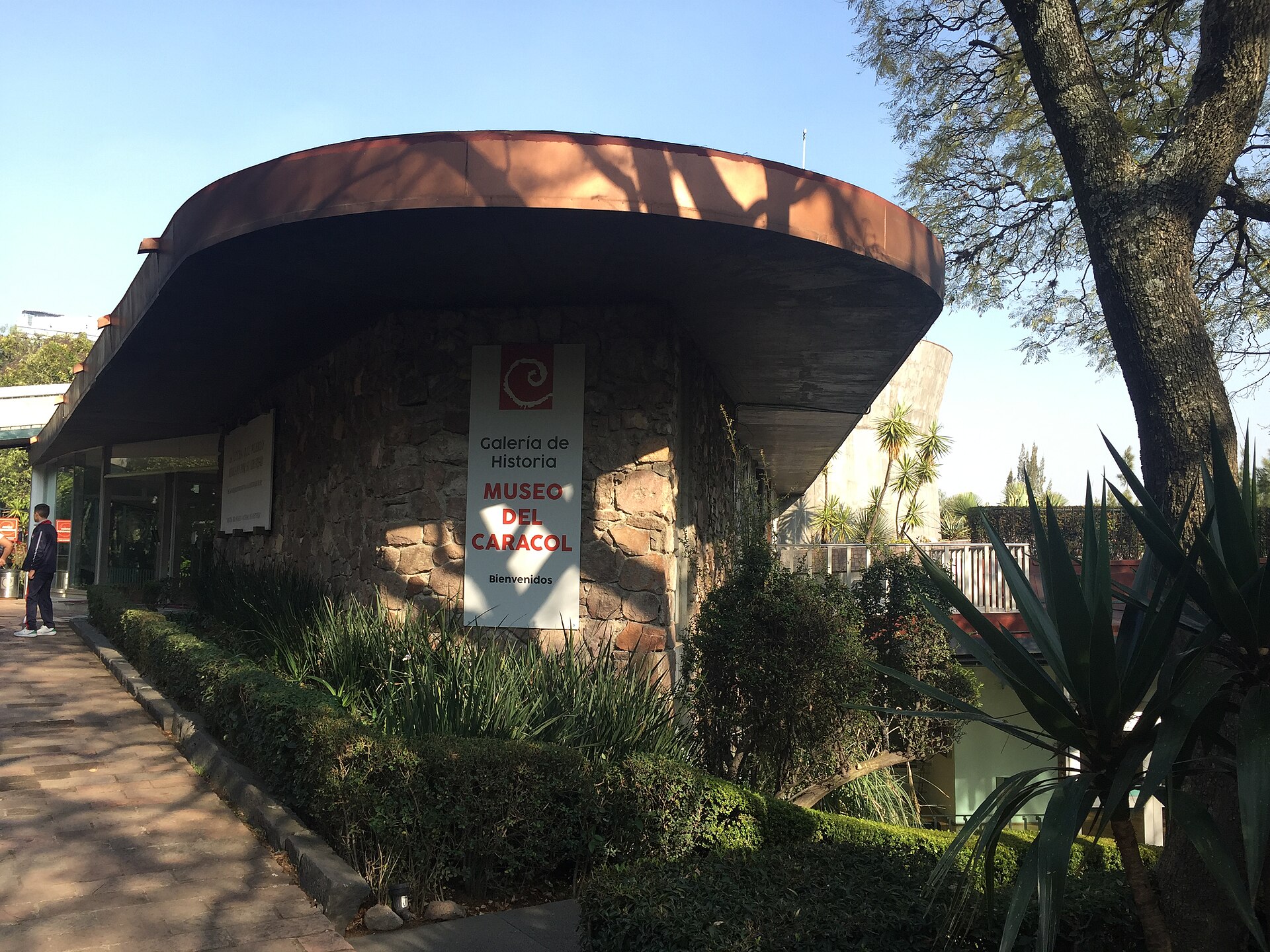 Galería de Historia