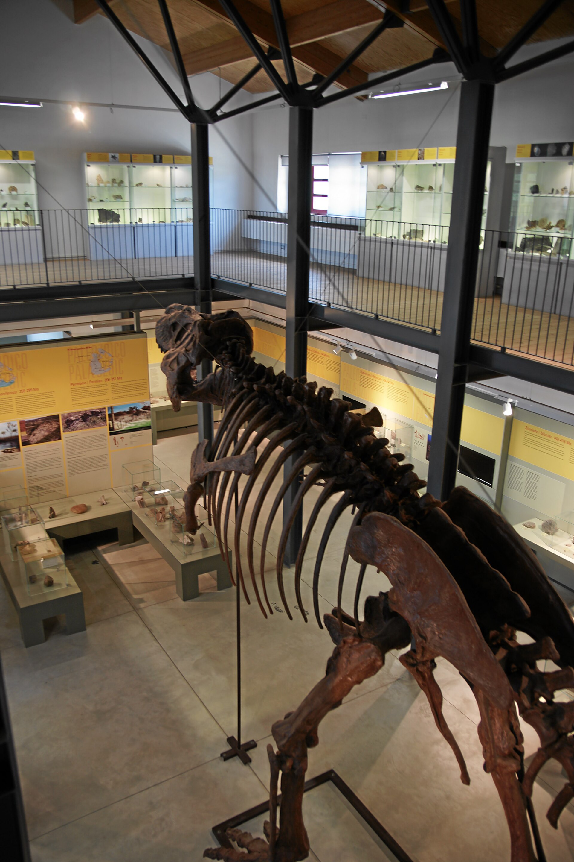 Museo di paleontologia e speleologia "E. A. Martel"