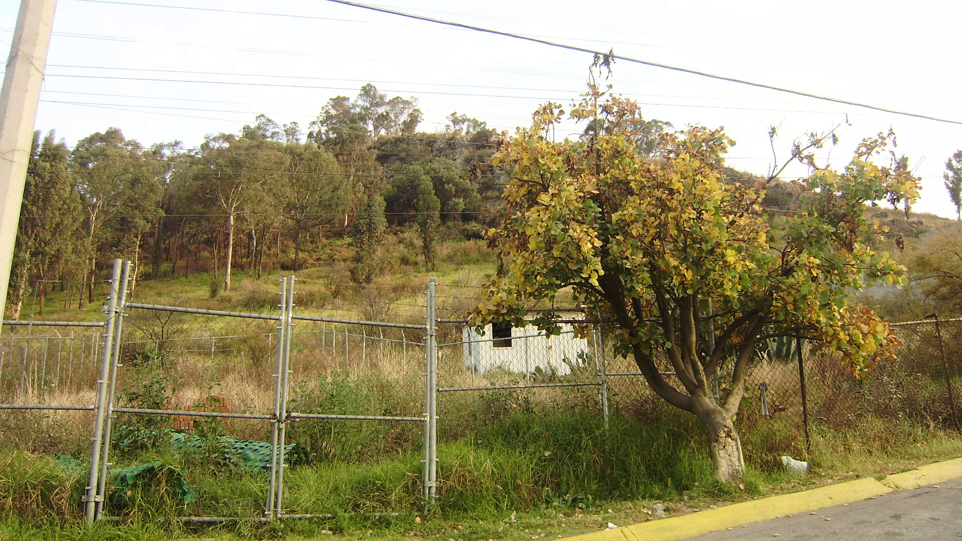 Cerro de Moctezuma