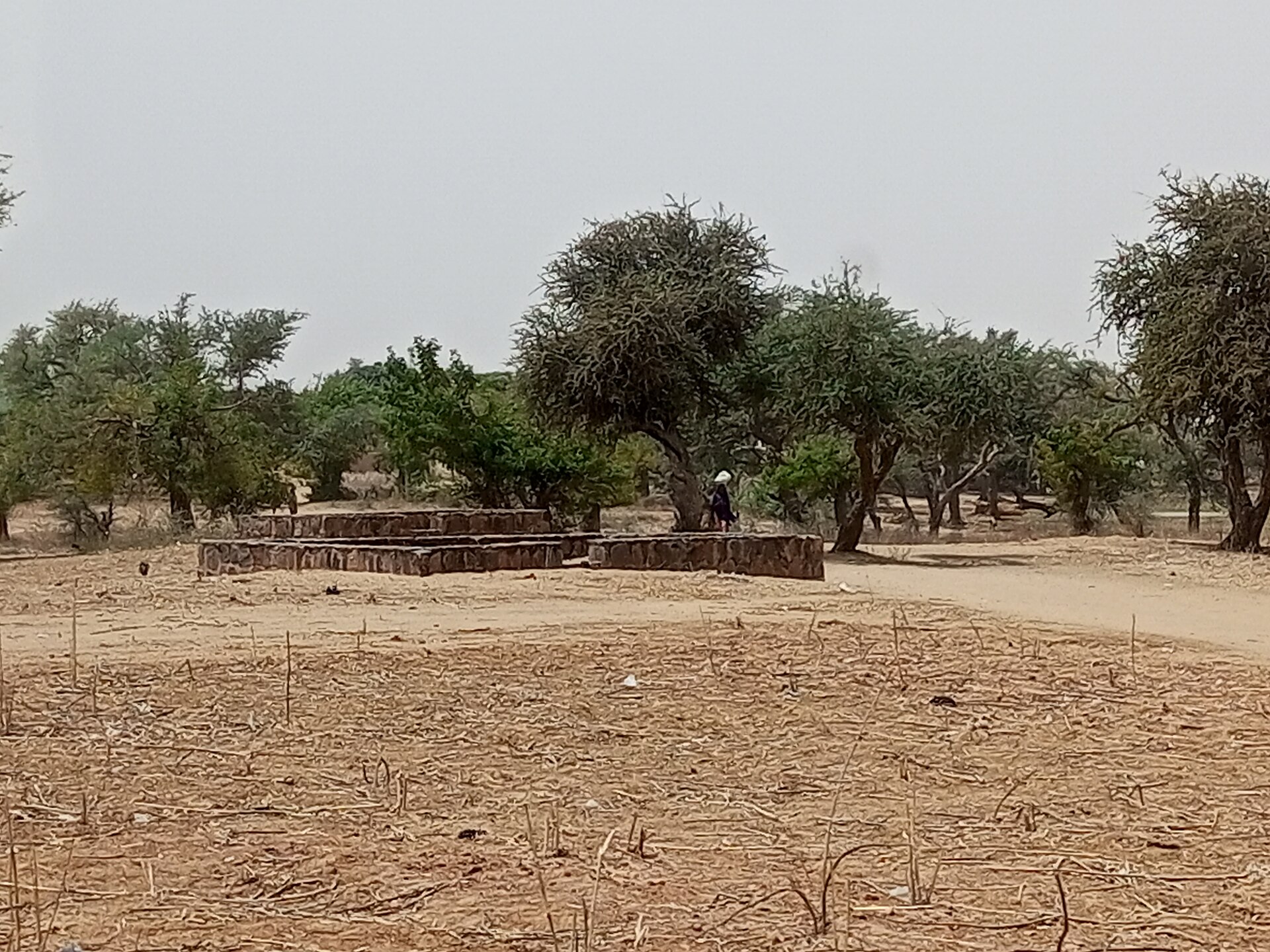Lac de Madarounfa