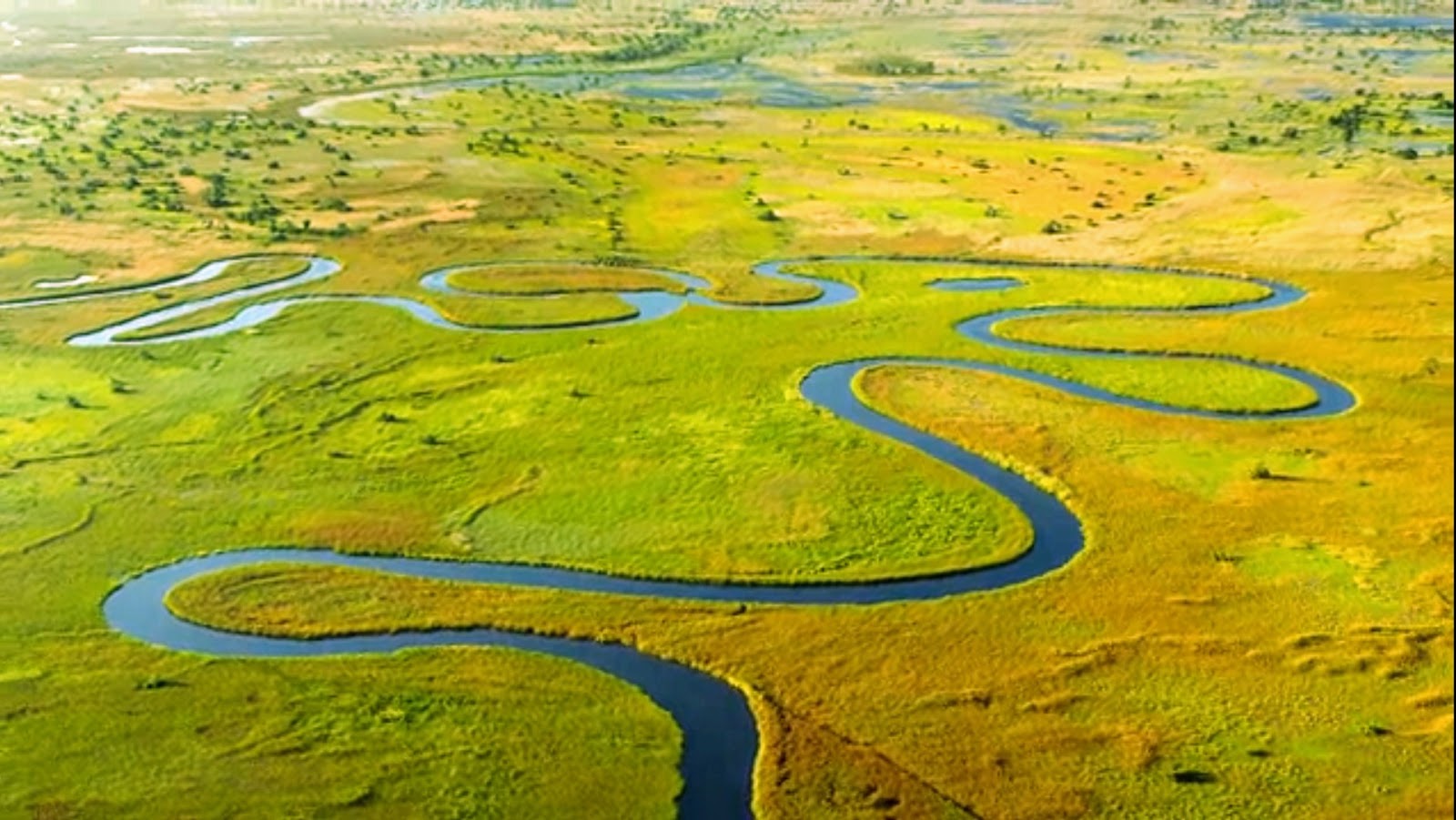 Delta do Okavango