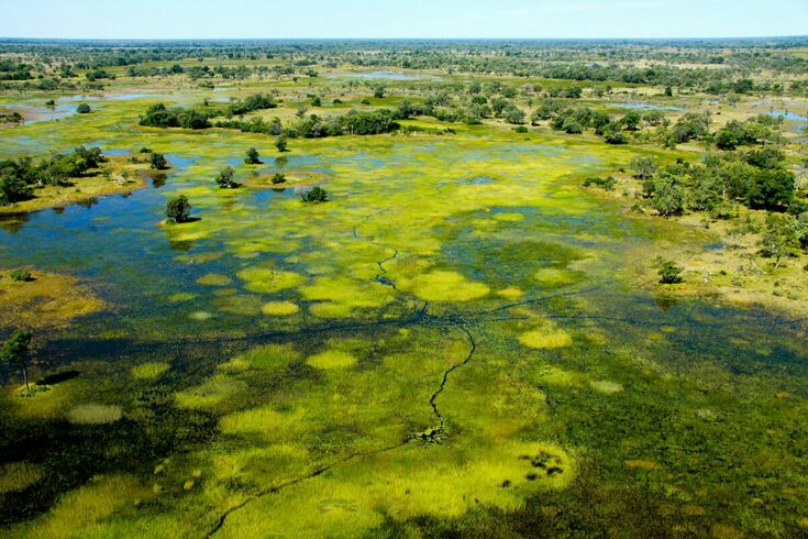 Delta do Okavango — Oficiais