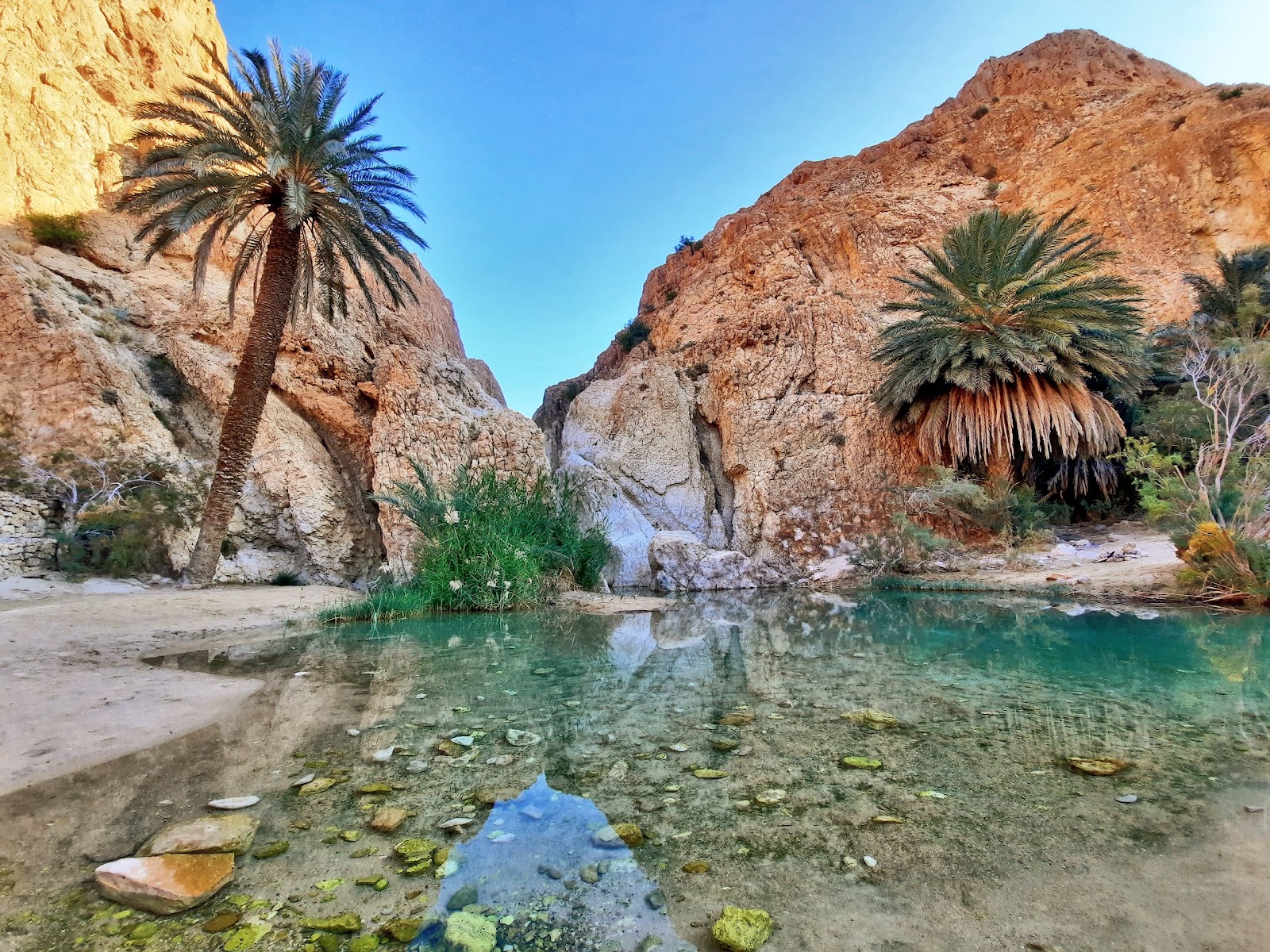 DESERT OASE