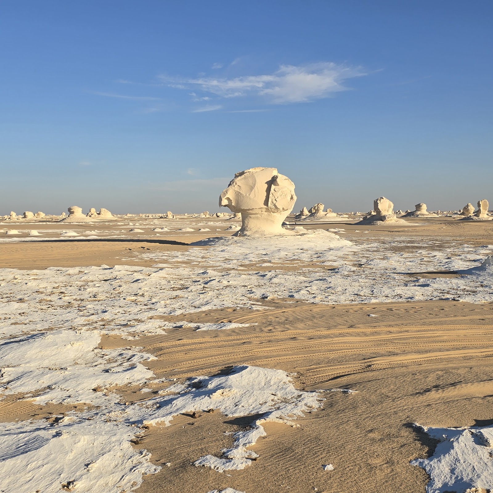 Deserto Branco, Parque Nacional — Oficiais
