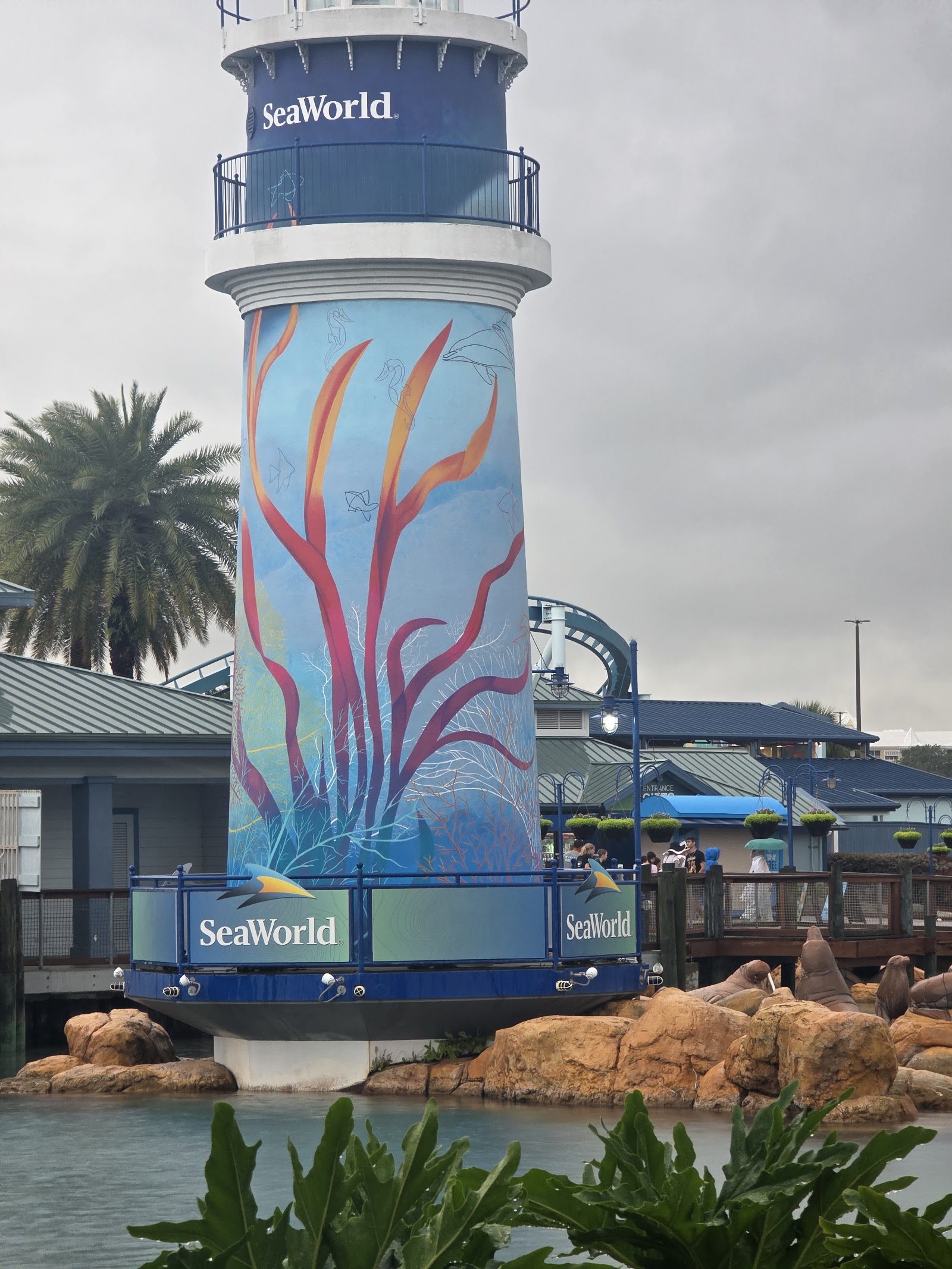 Dine with Orcas