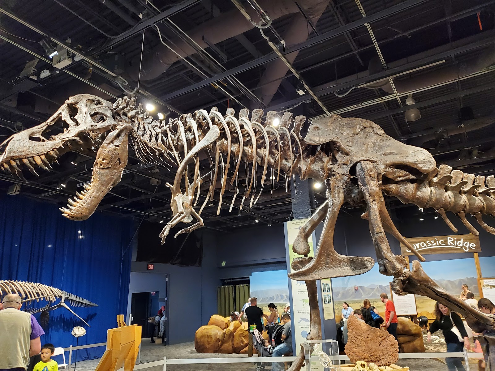 DinoDigs