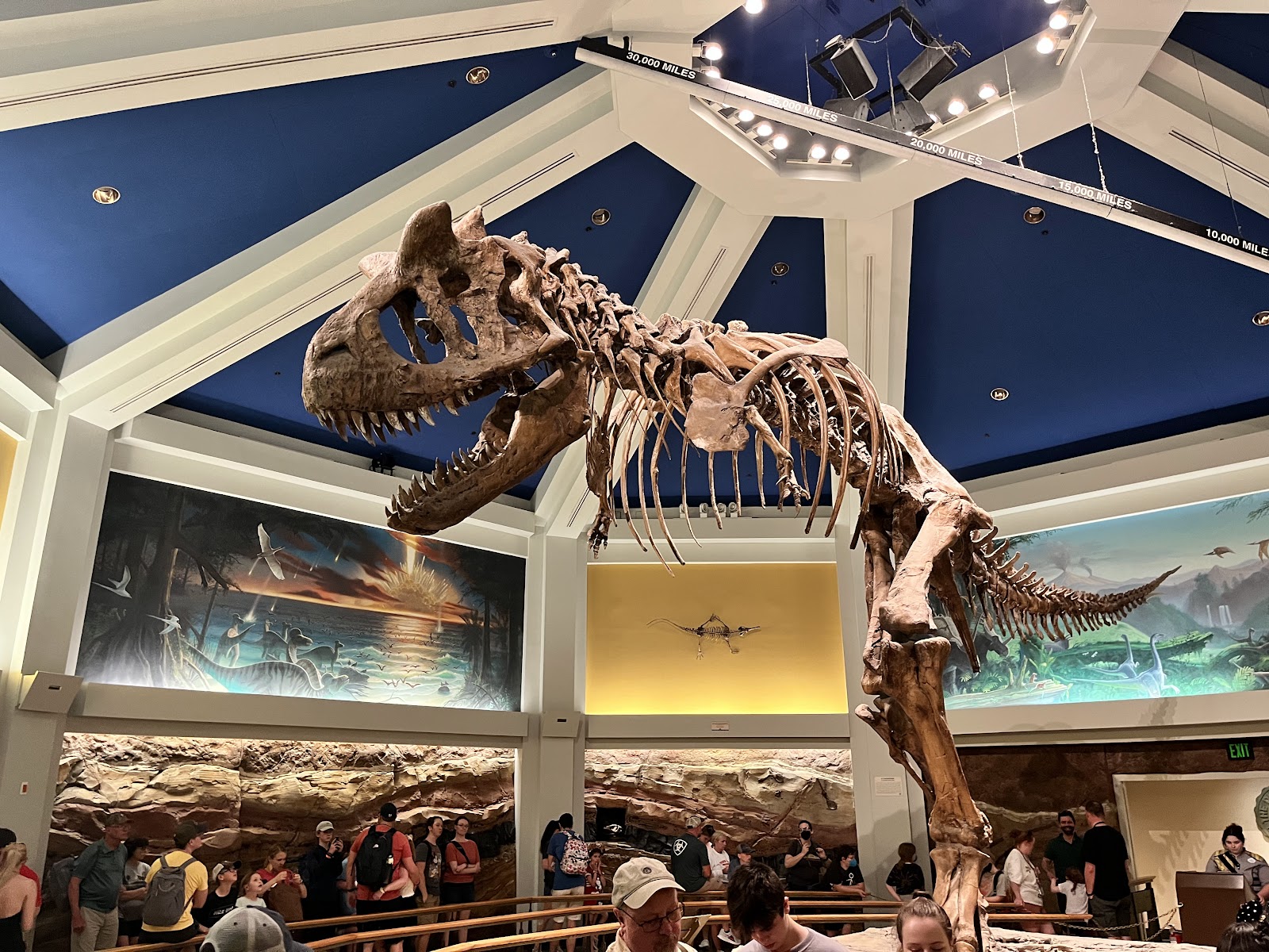 DINOSAUR — Oficiais