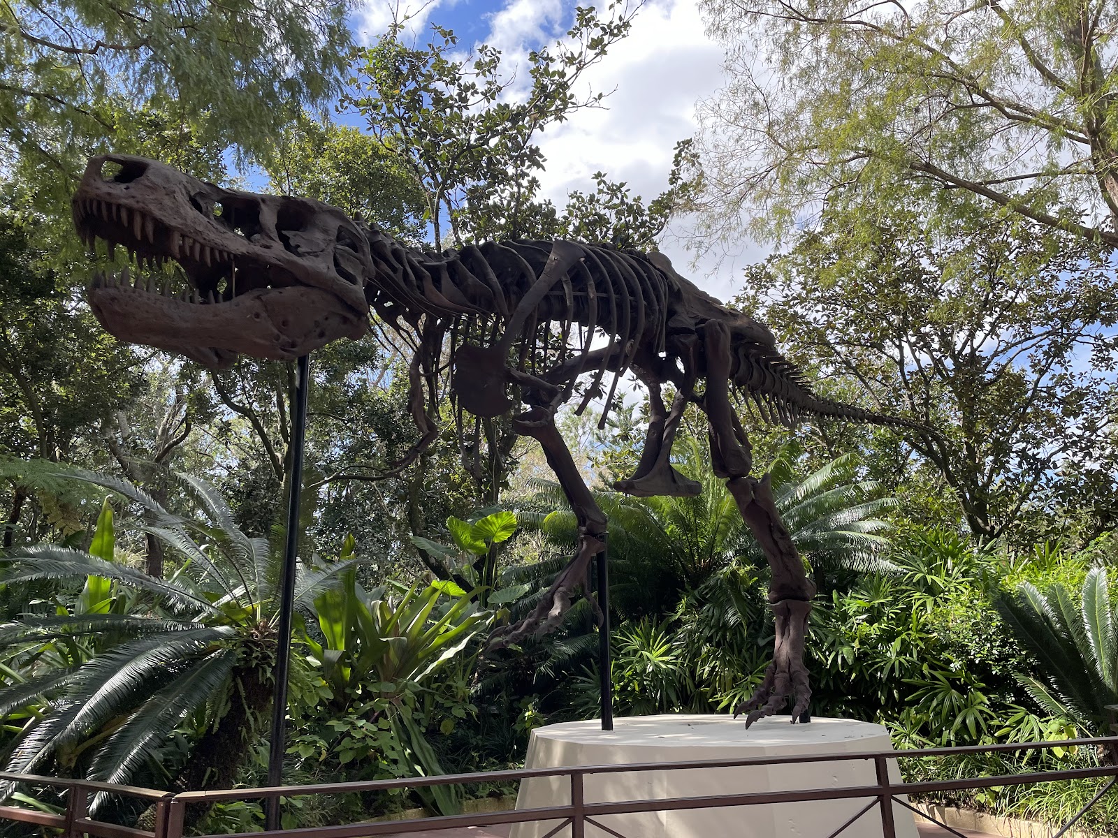 DINOSAUR — Oficiais