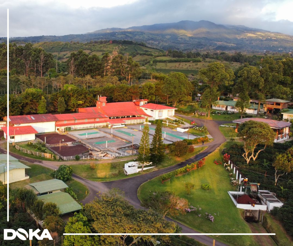 Doka Estate Grounds — Oficiais