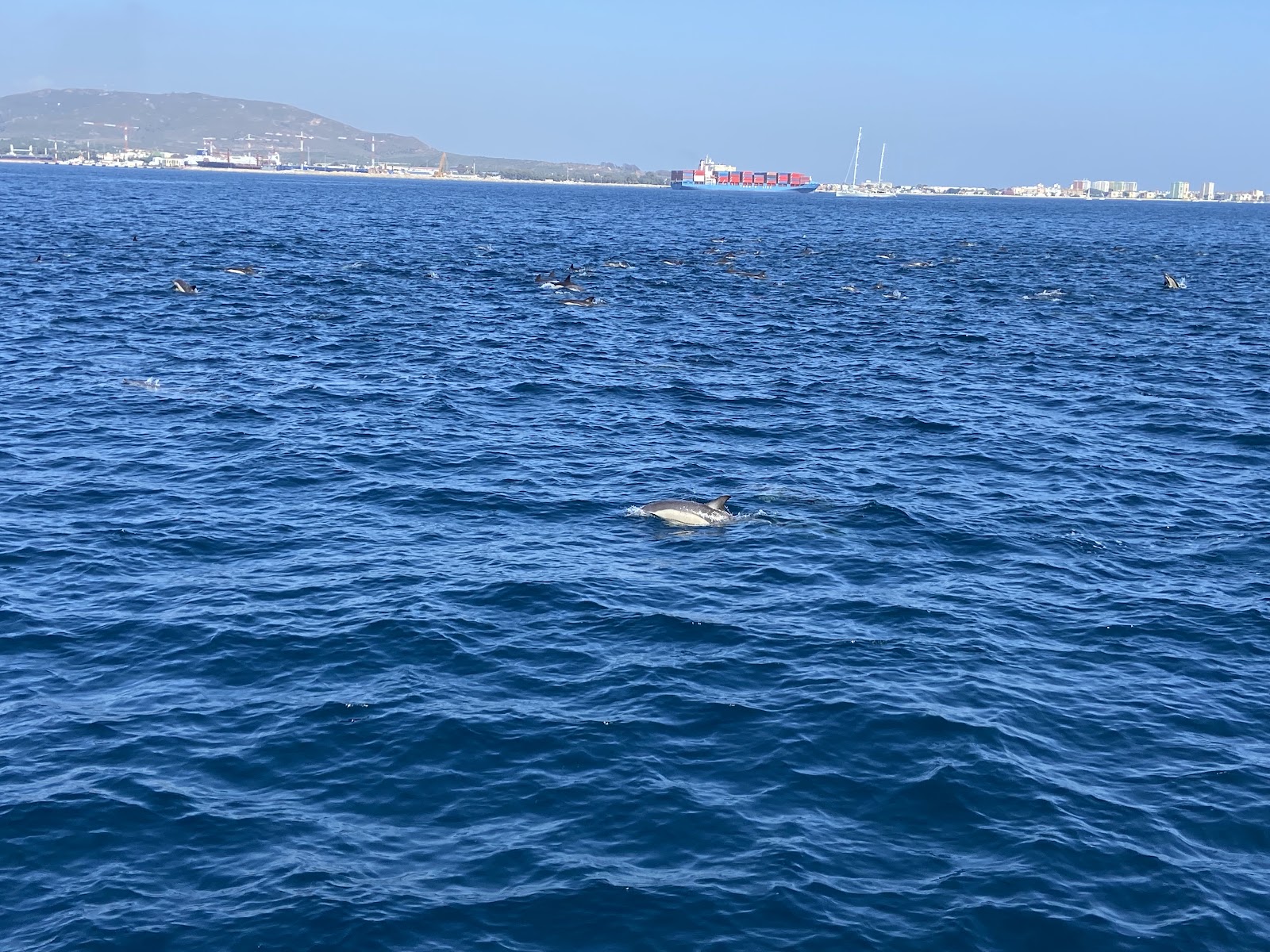 Dolphin Adventure — Oficiais