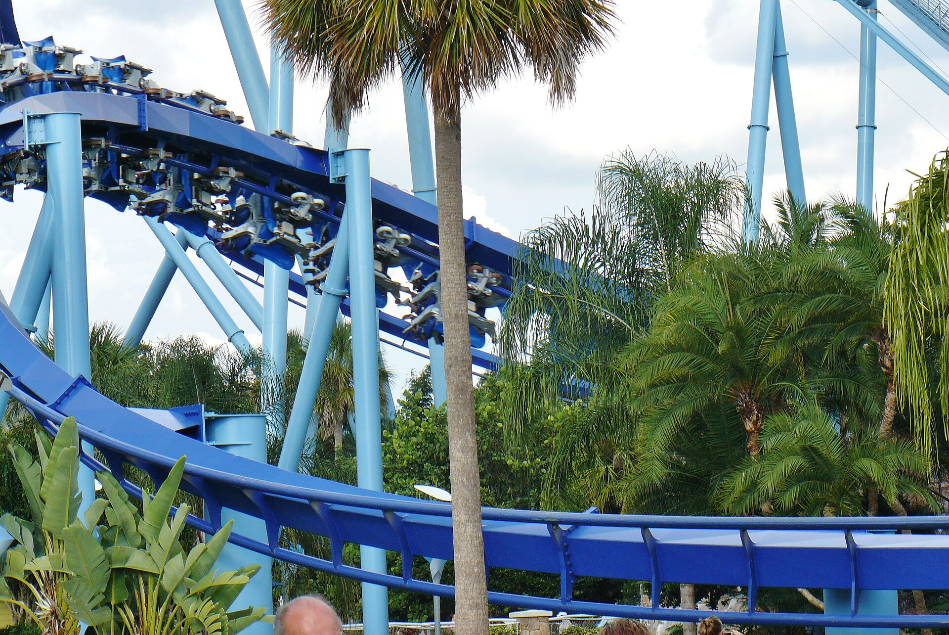 Dolphin Adventures - Located in Dolphin Stadium