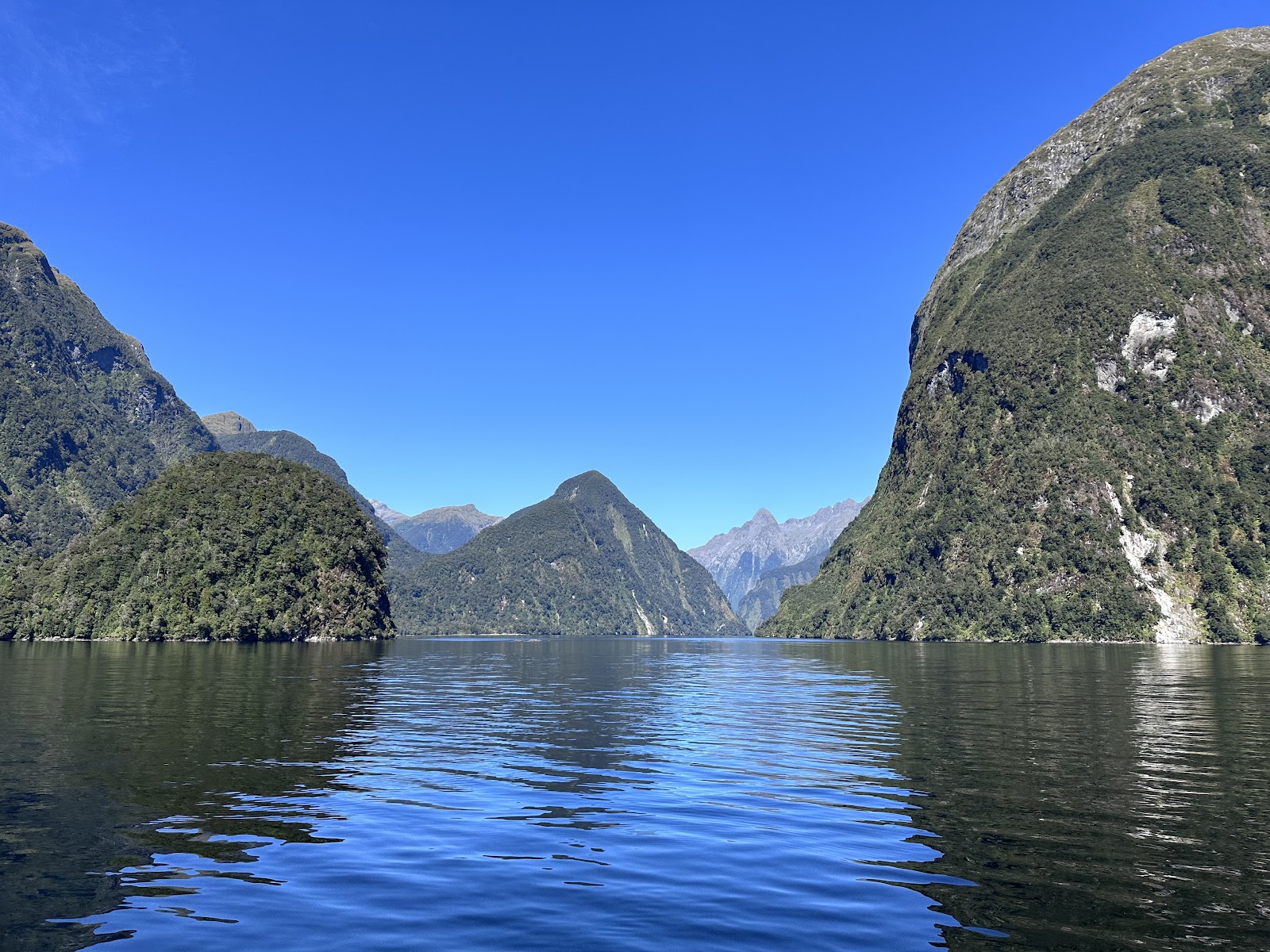 Doubtful Sound / Patea
