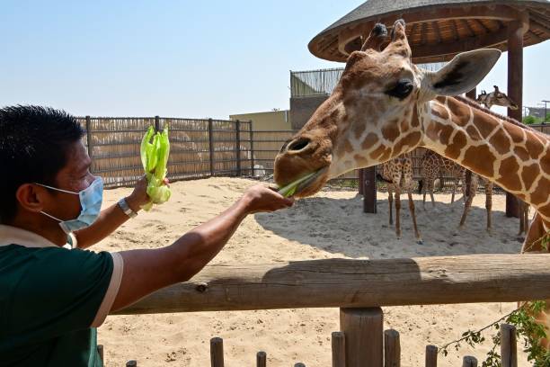 Dubai Safari Park — Oficiais
