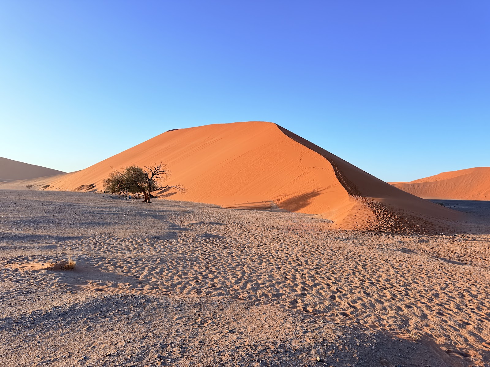Dune 45 Sossusvlei
