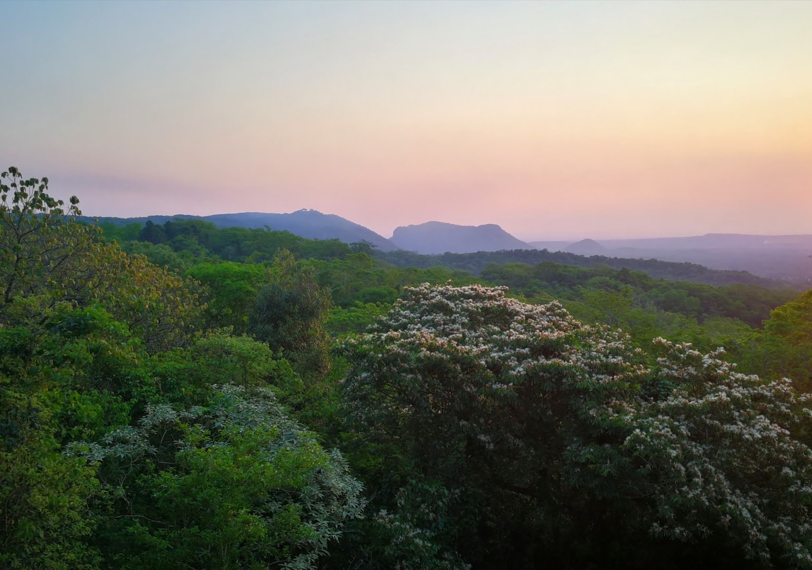 Eco reserva Mbatoví — Oficiais