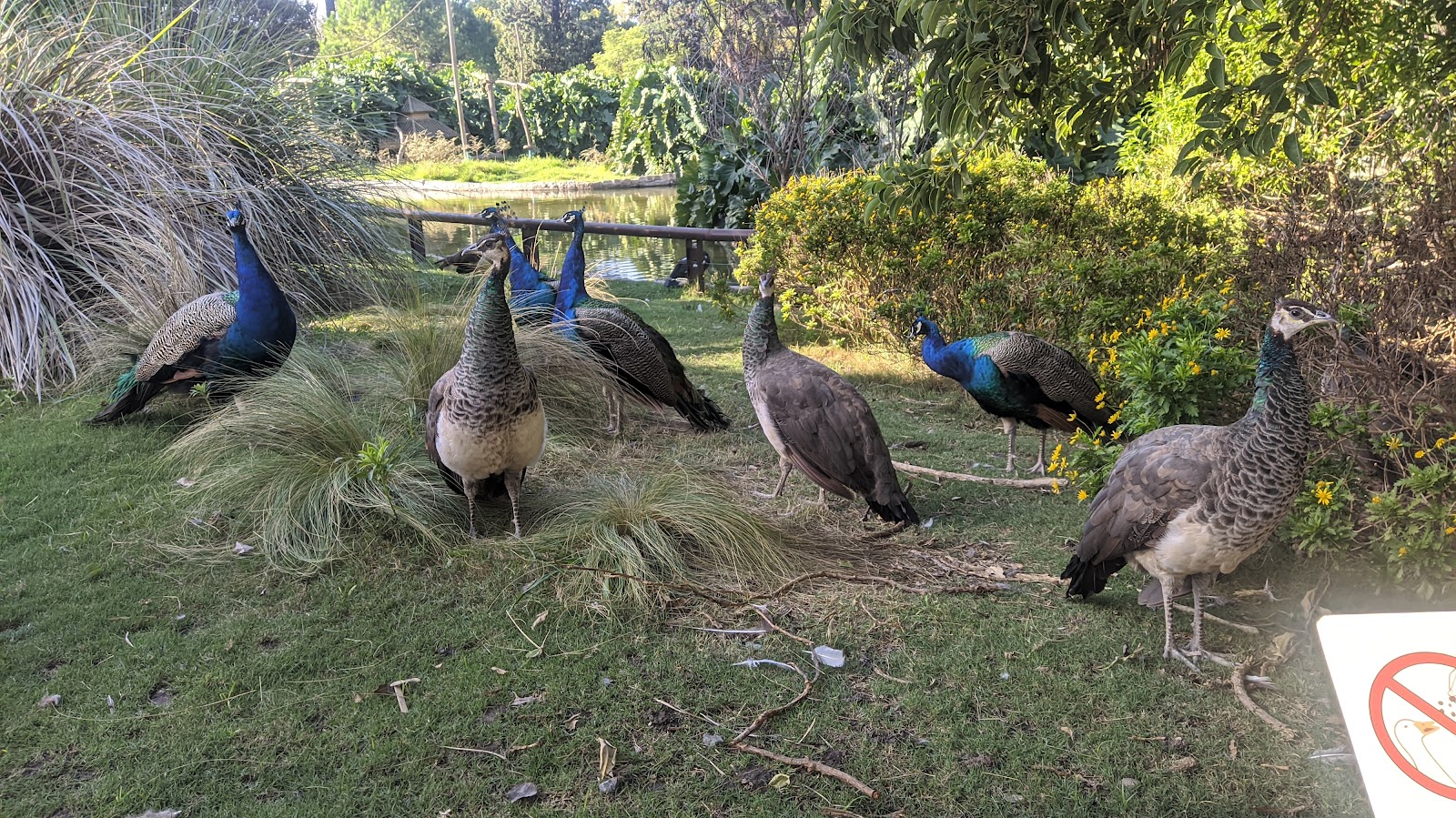 Ecoparque — Oficiais