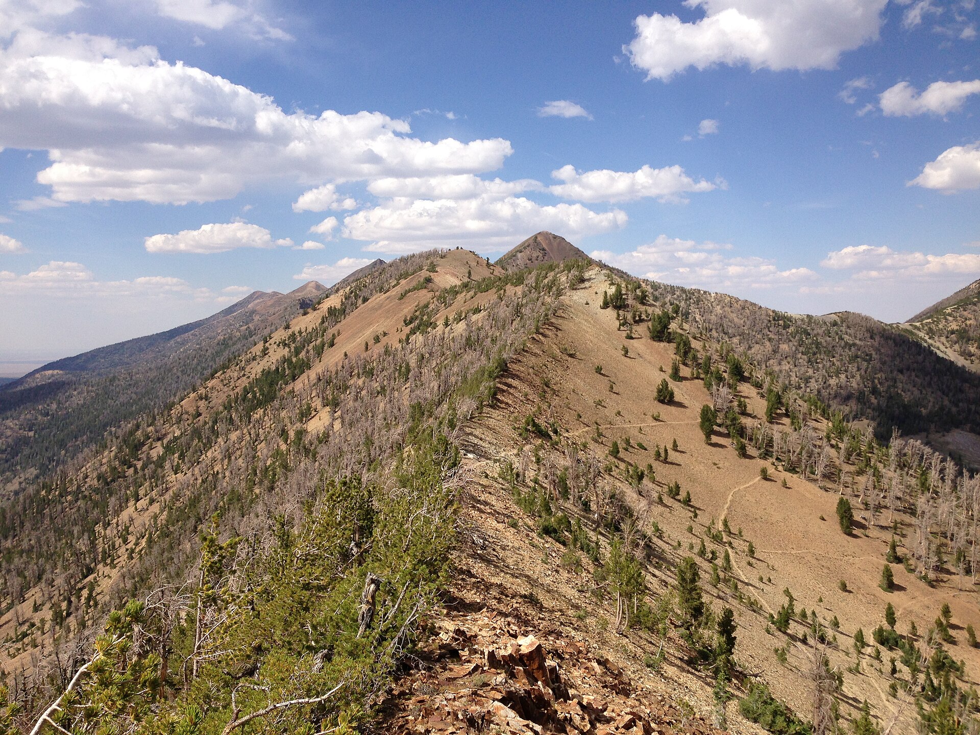 Elko Peak