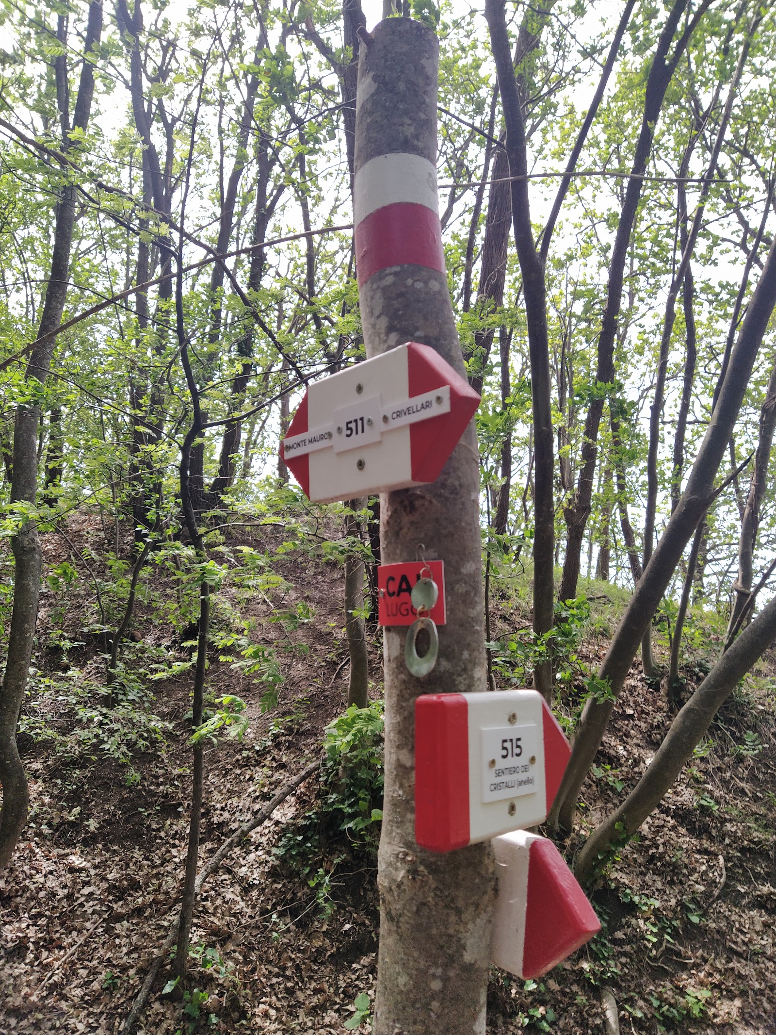 Eremo di San Mauro — Oficiais