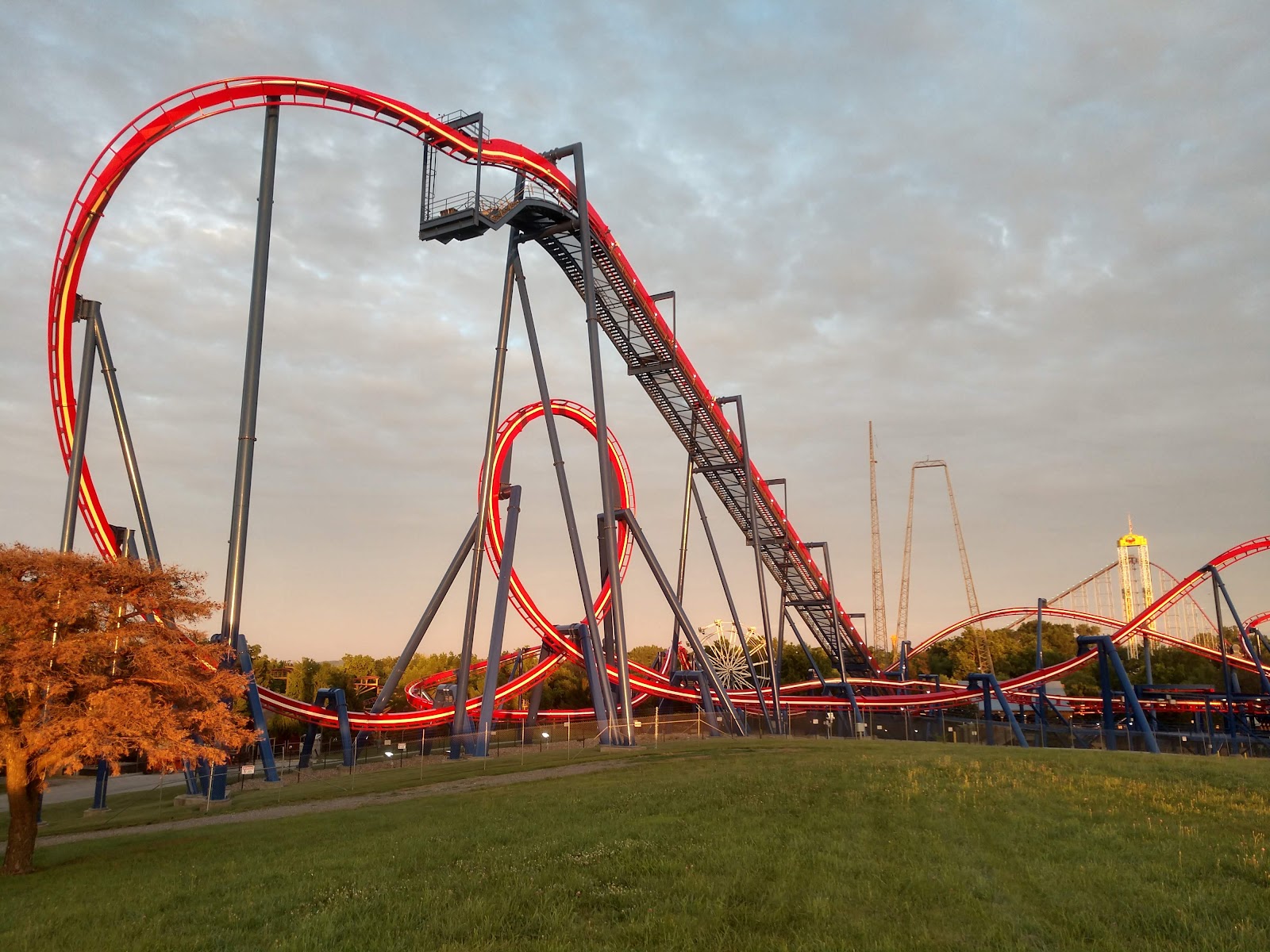 Falcon’s Flight