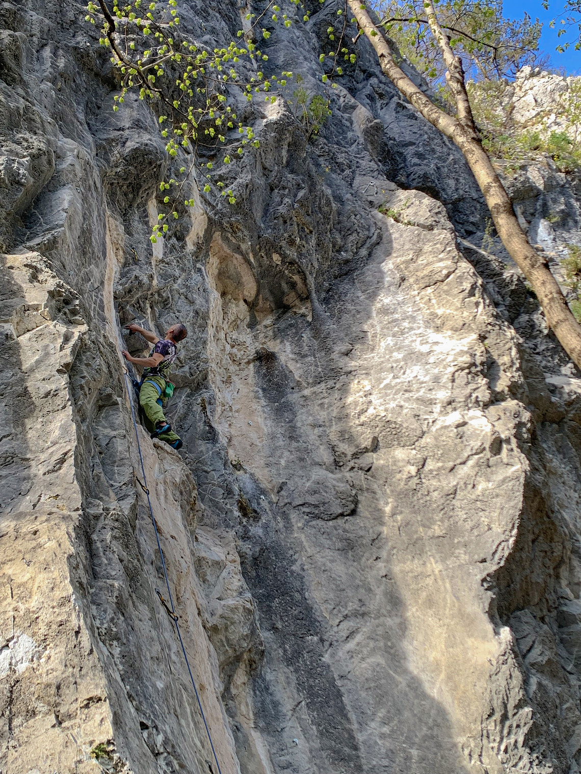 Falesie del Torrente Chiarzò