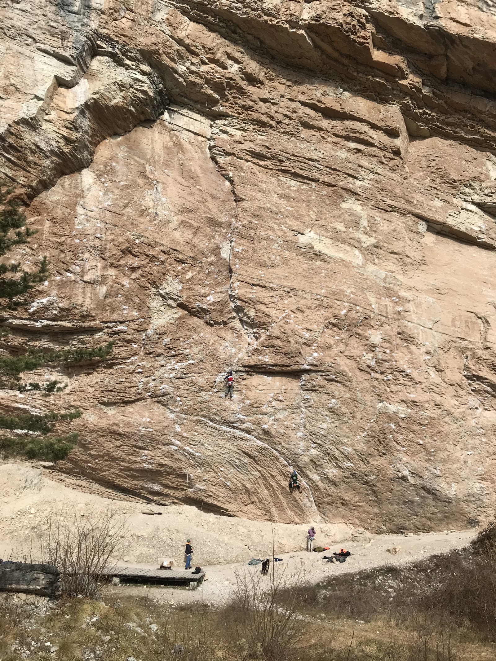 Falesie e pareti rocciose di Casera Feletta