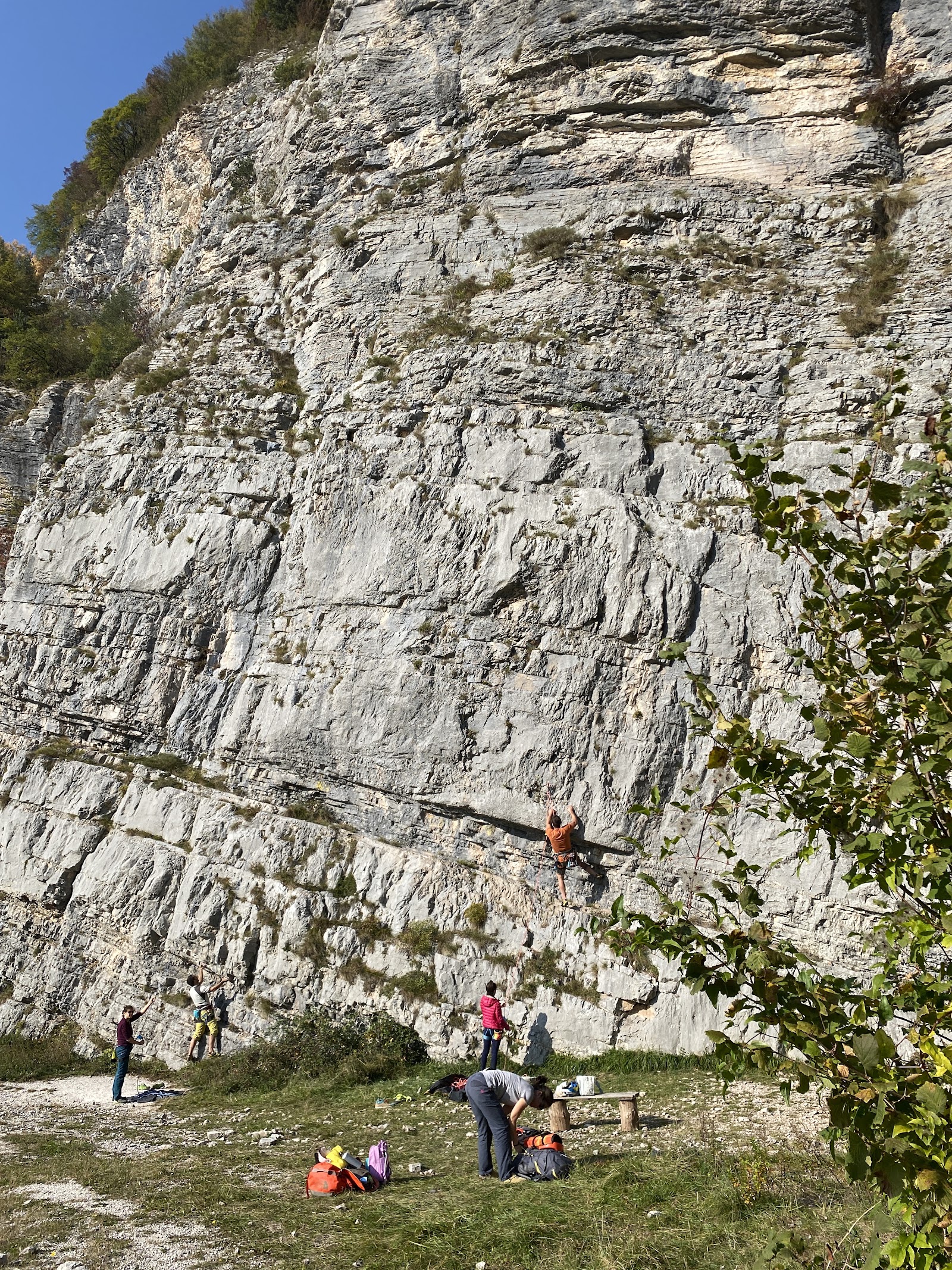 Falesie e pareti rocciose di Casera Feletta — Oficiais
