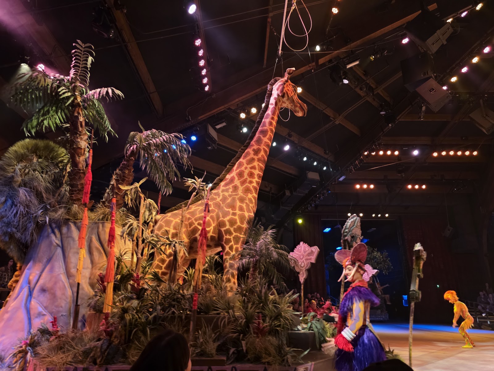 Festival of the Lion King — Oficiais