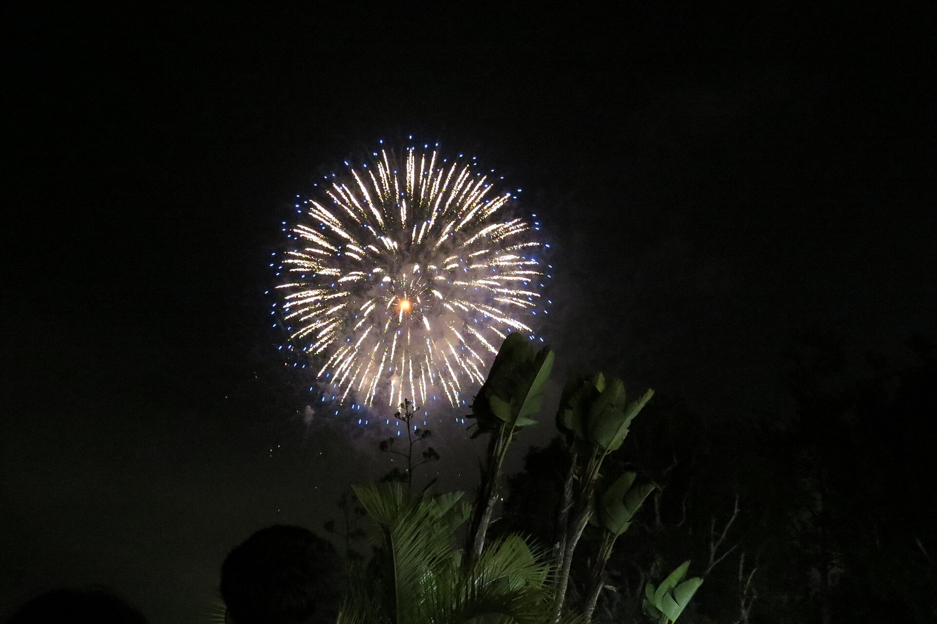 Fireworks