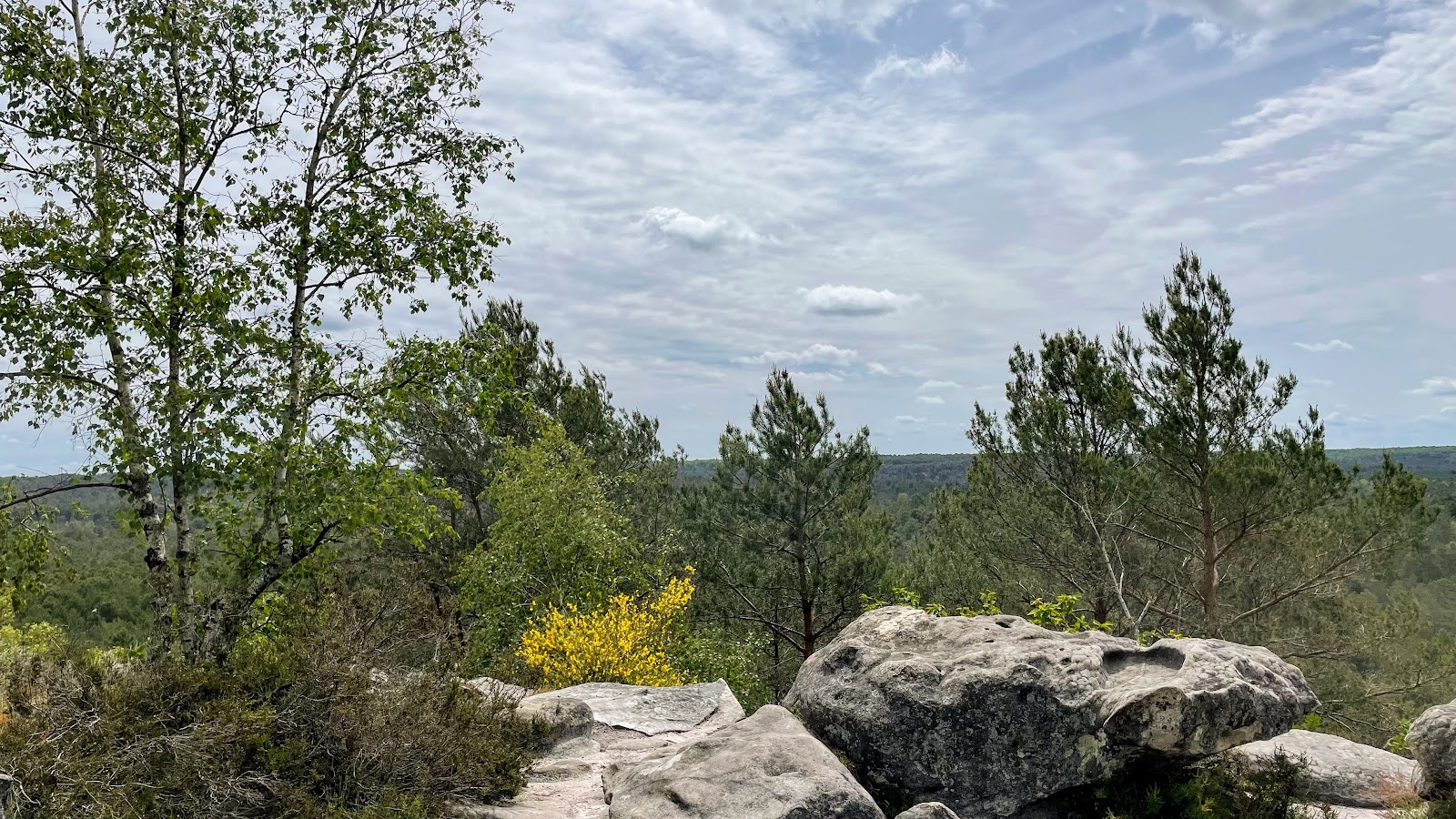 Floresta de Fontainebleau — Oficiais