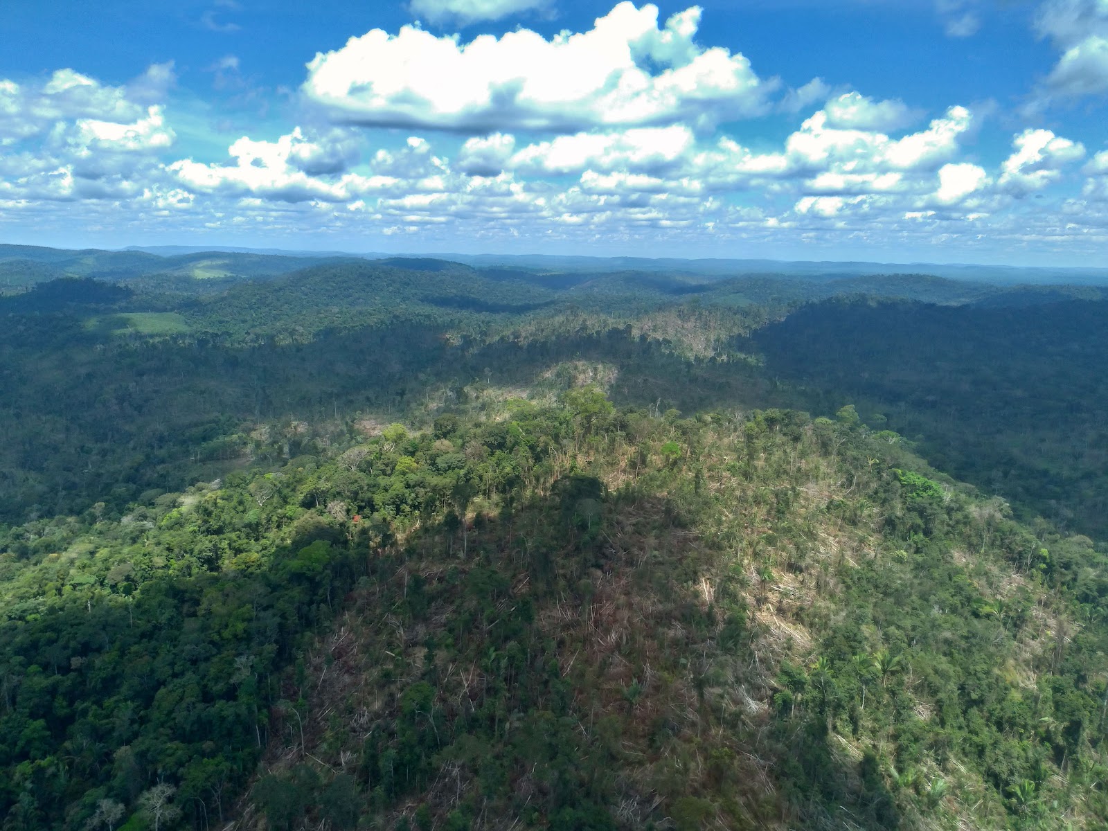 Floresta Nacional de Altamira