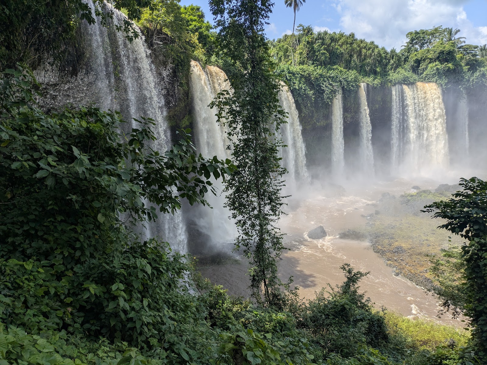 Forest trail to Agbokim Waterfalls