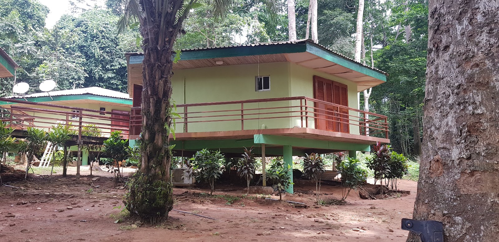 Forêt ORO de Kpankou — Oficiais