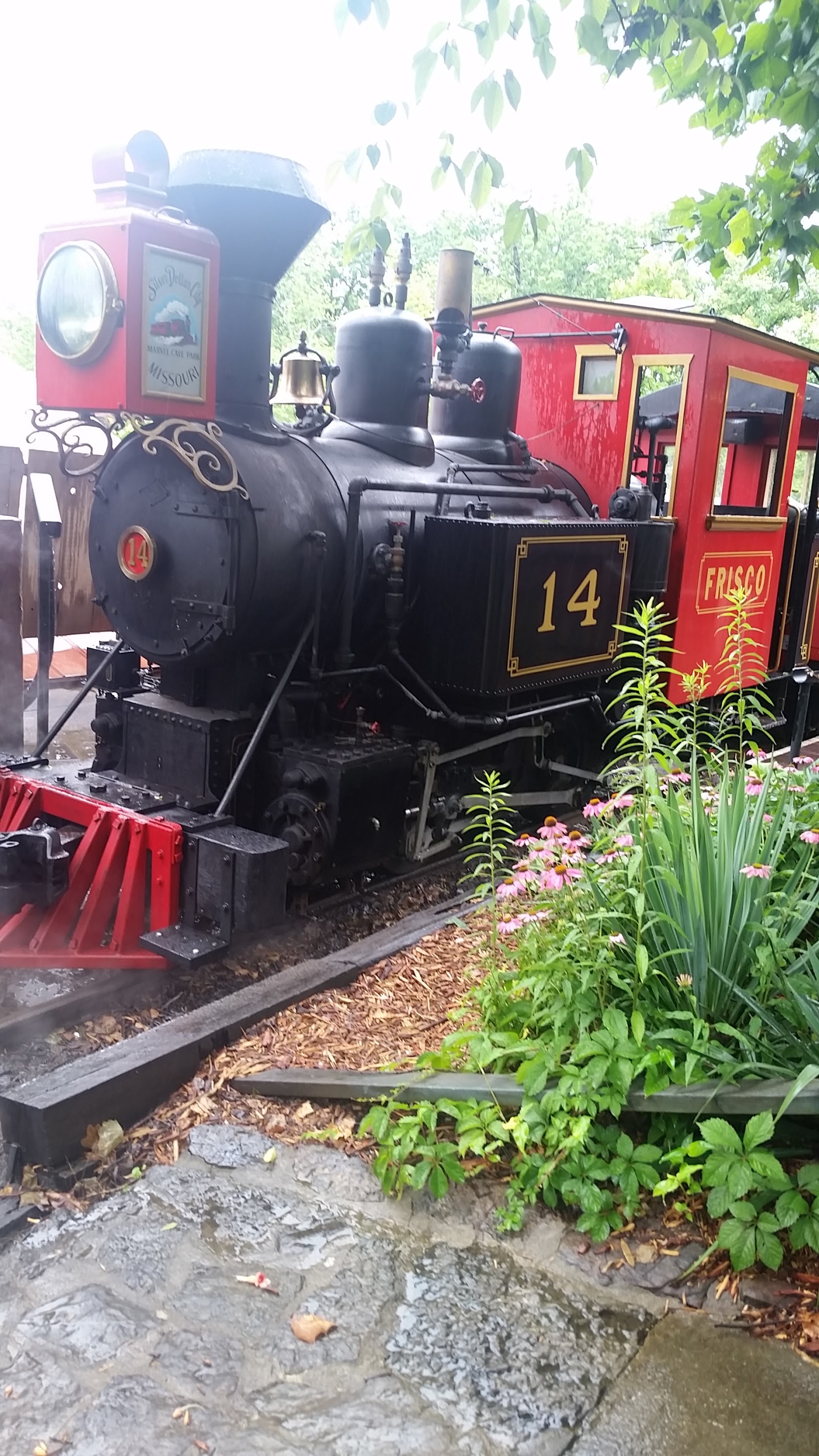Frisco Silver Dollar Line Steam Train