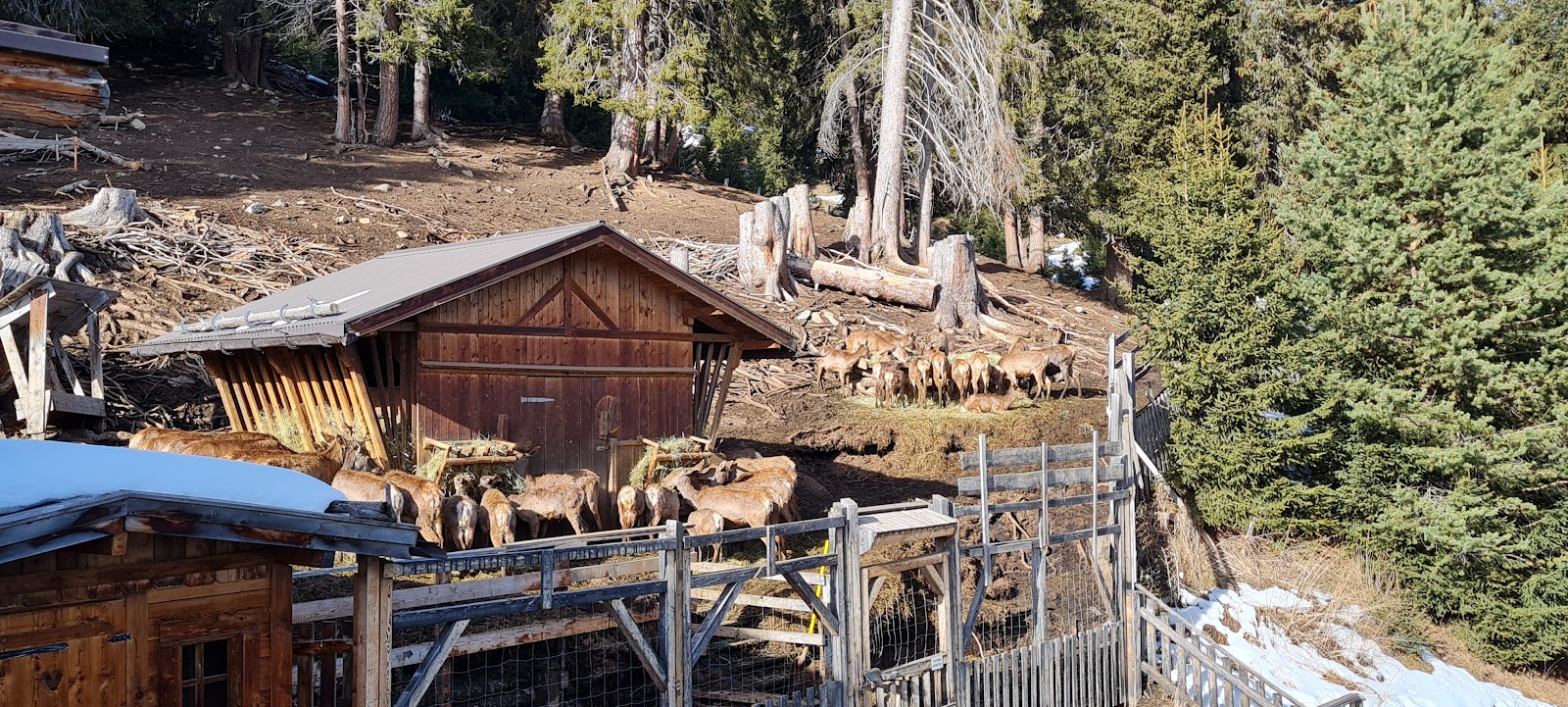 Frommes Alp