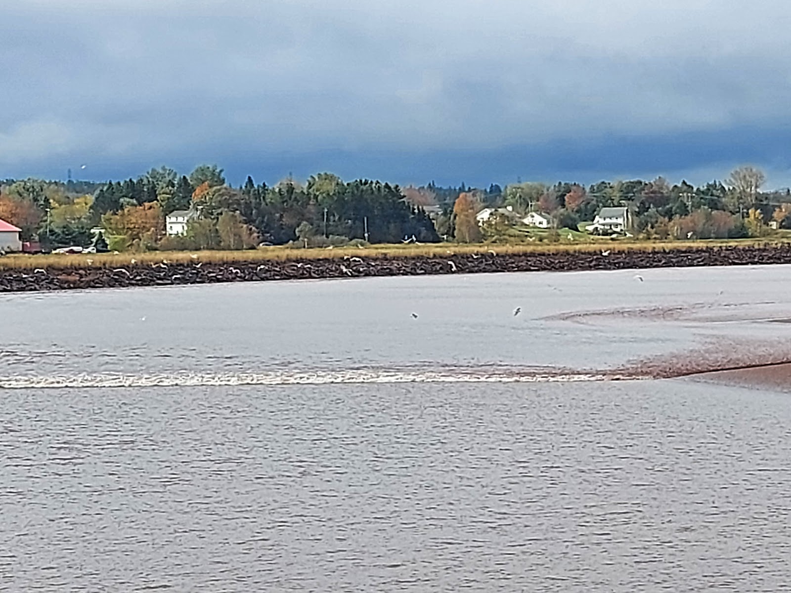 Fundy Discovery Site — Oficiais
