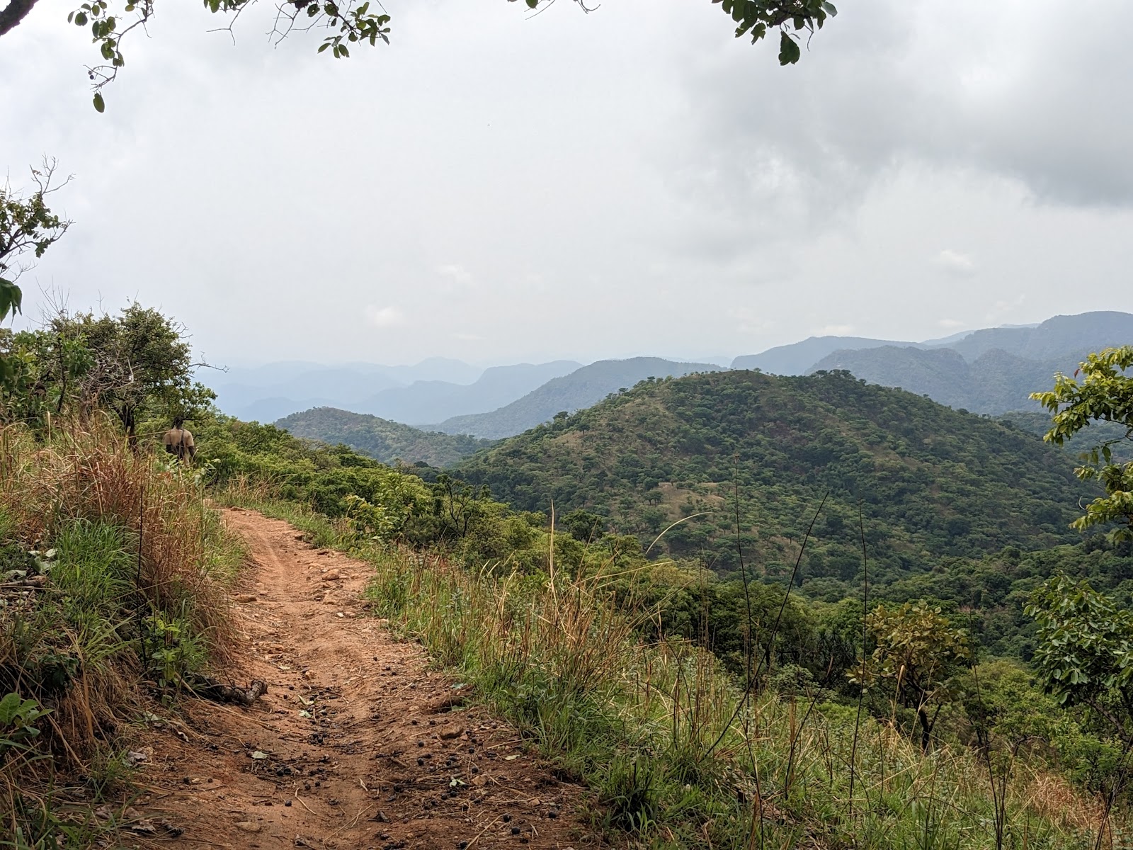 Gashaka-Gumti National Park — Oficiais