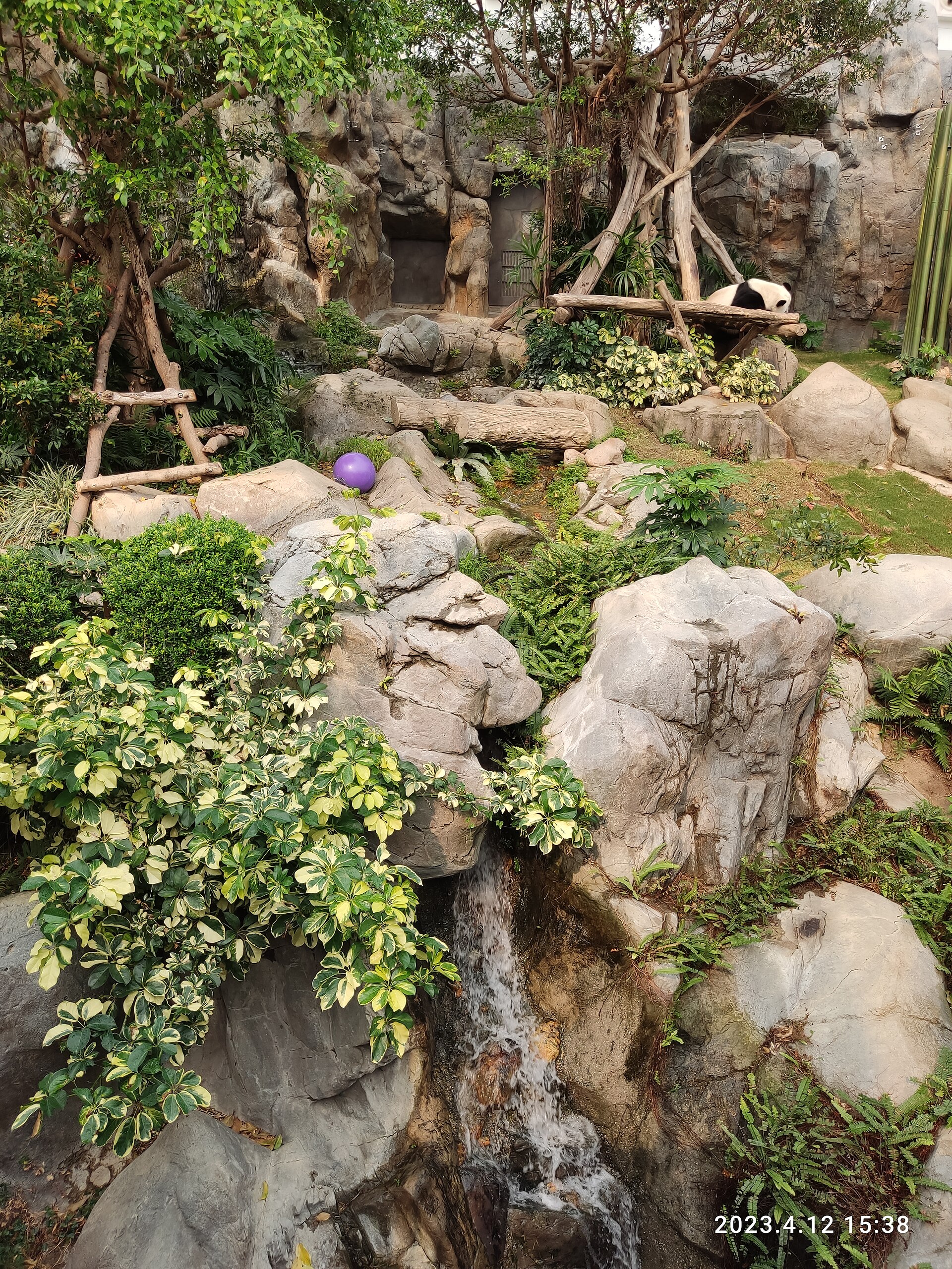 Giant Panda Adventure