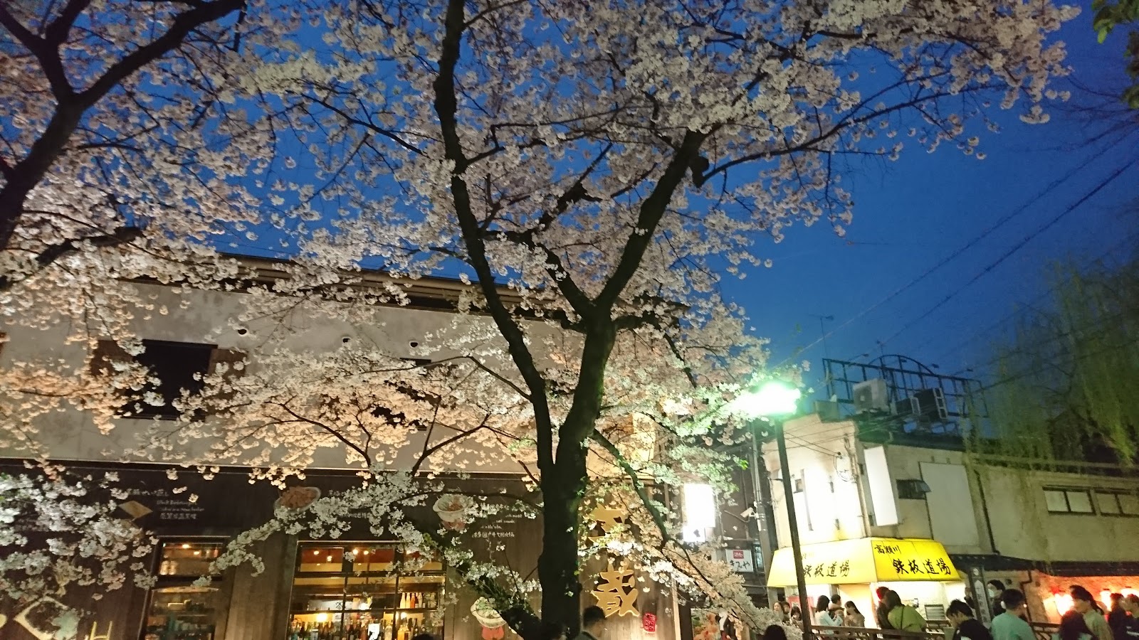 Gion — Oficiais