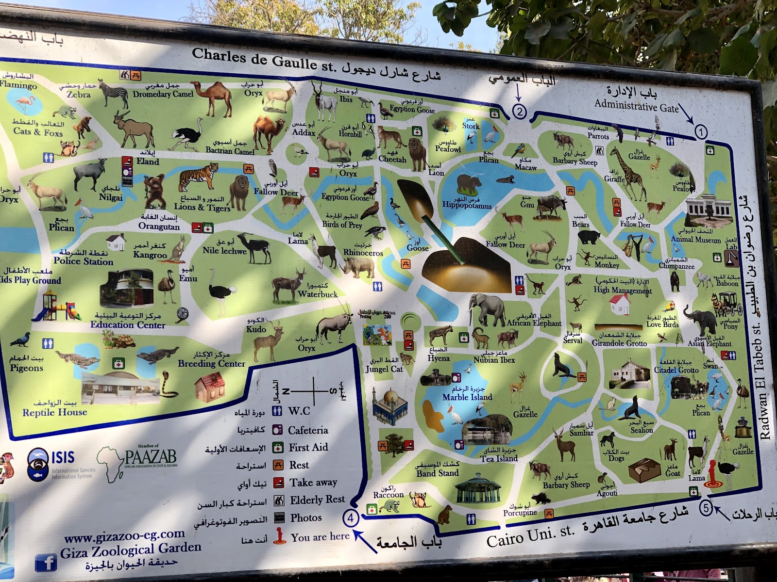 Giza Zoo — Oficiais