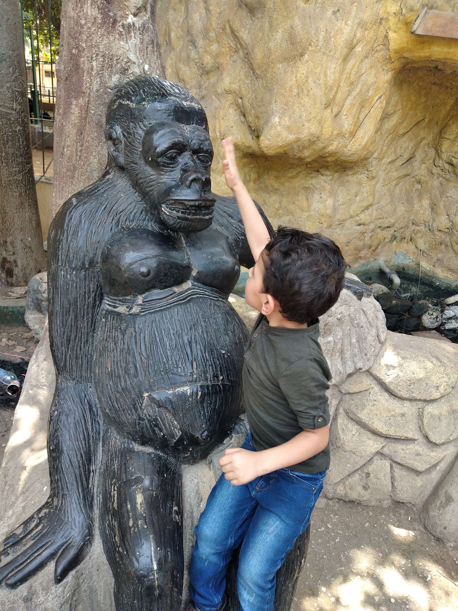 Giza Zoo — Oficiais