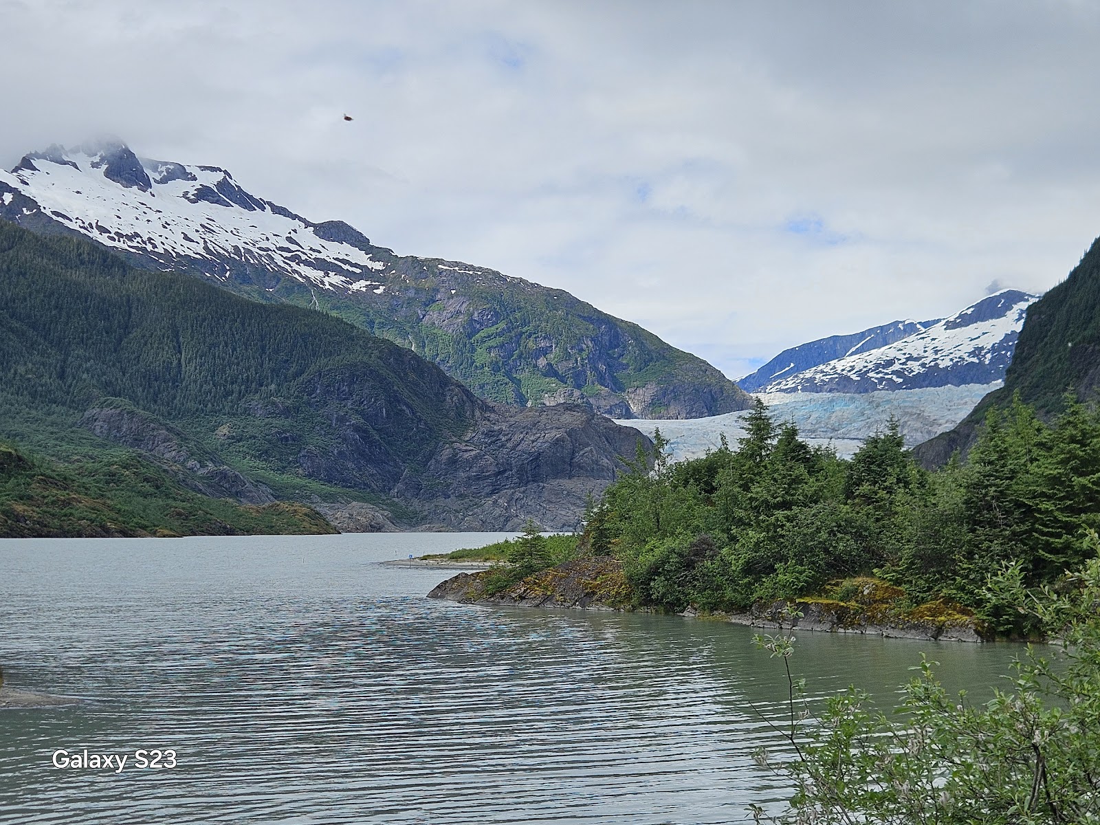Glaciar Mendenhall — Oficiais